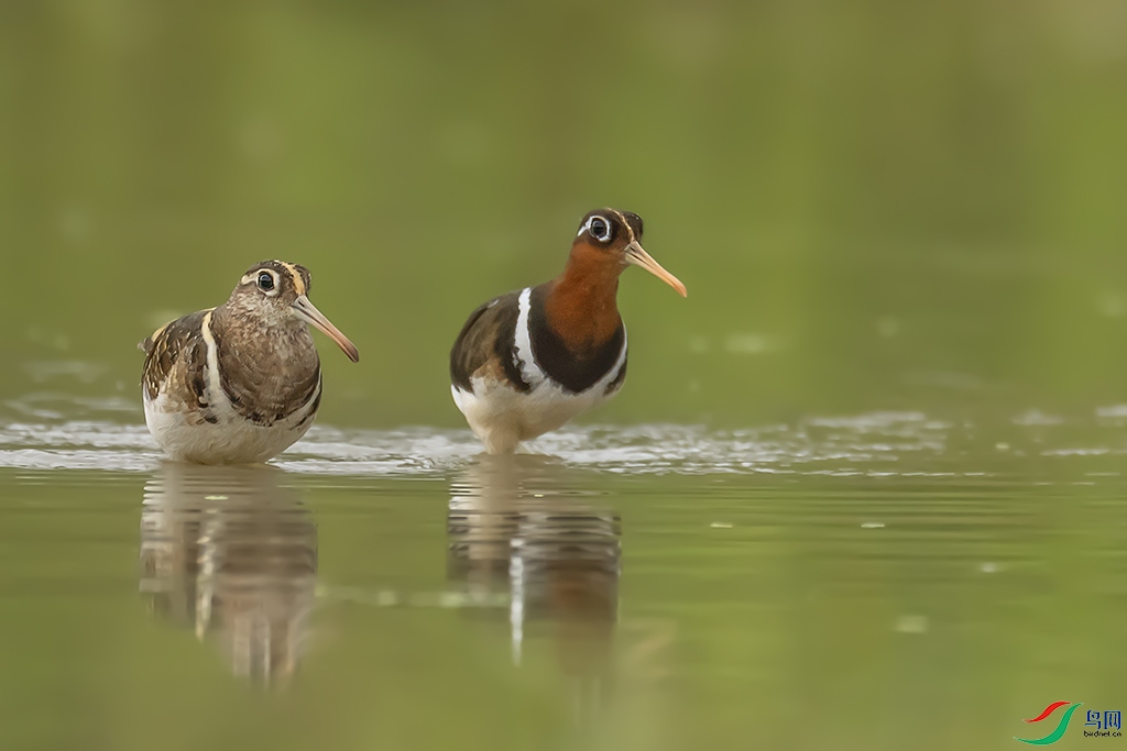 0F7A7503 ����.jpg