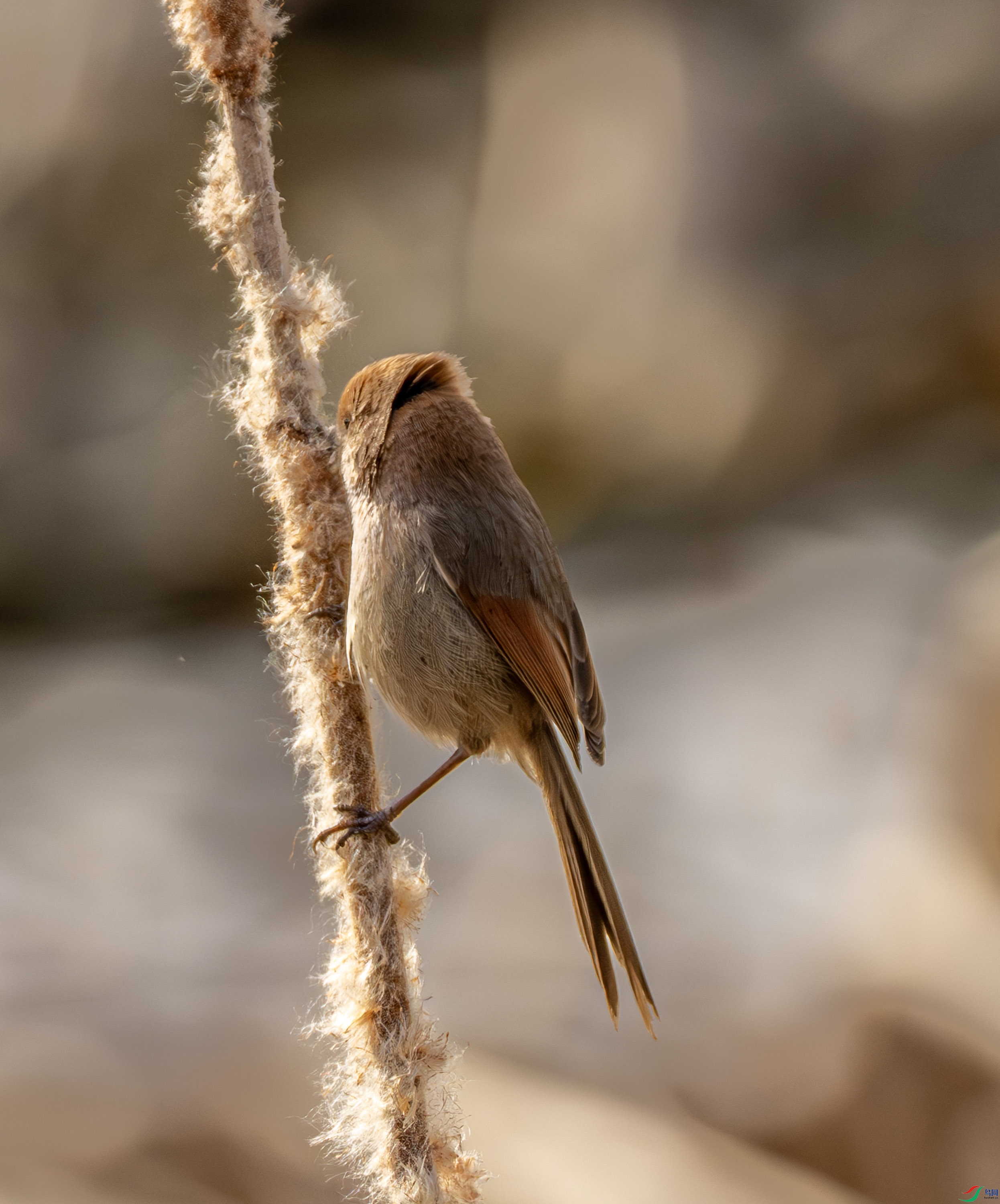 ��ͷѻȸ-01 (3 - 16).jpg