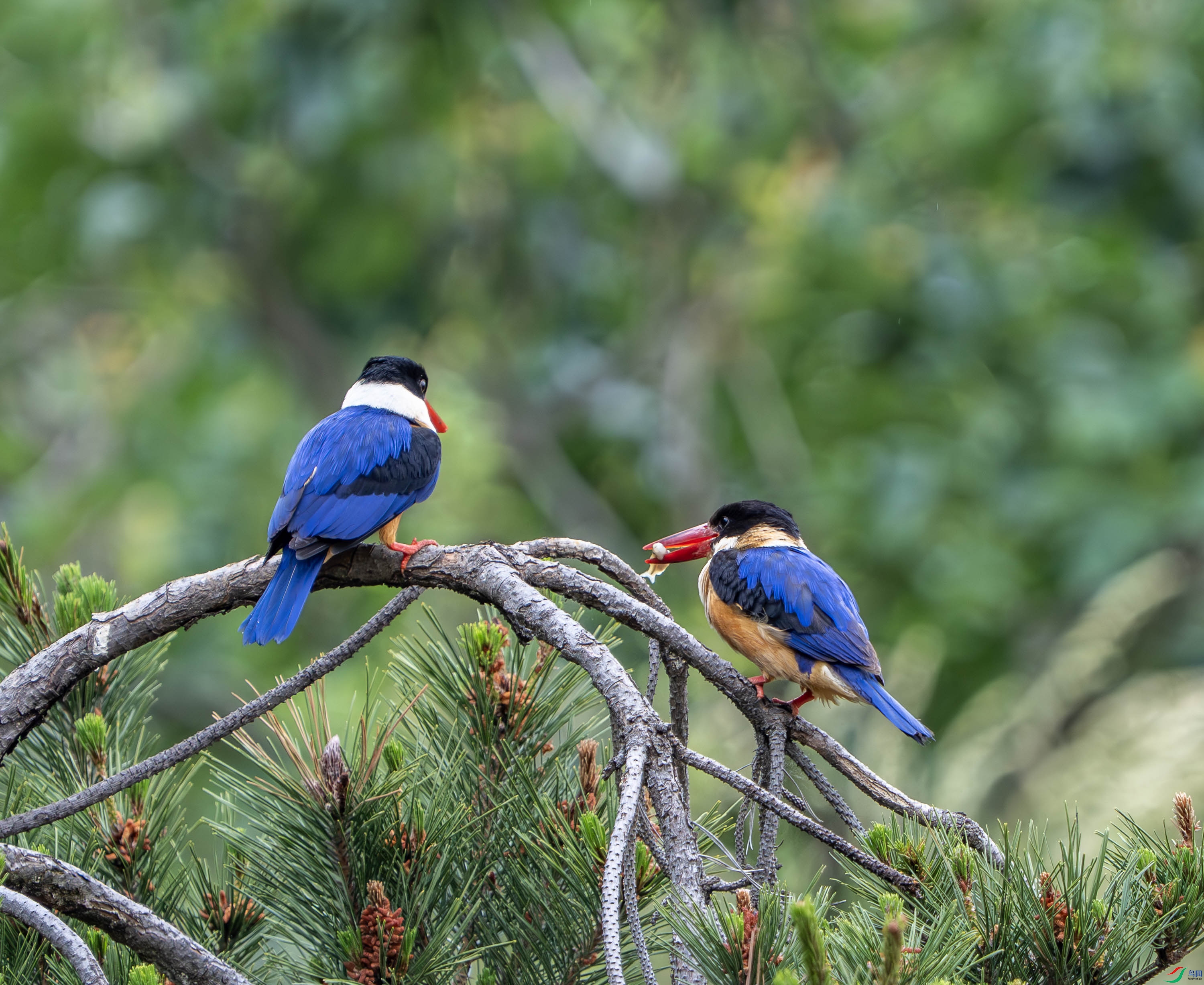 �����-23 (3).jpg