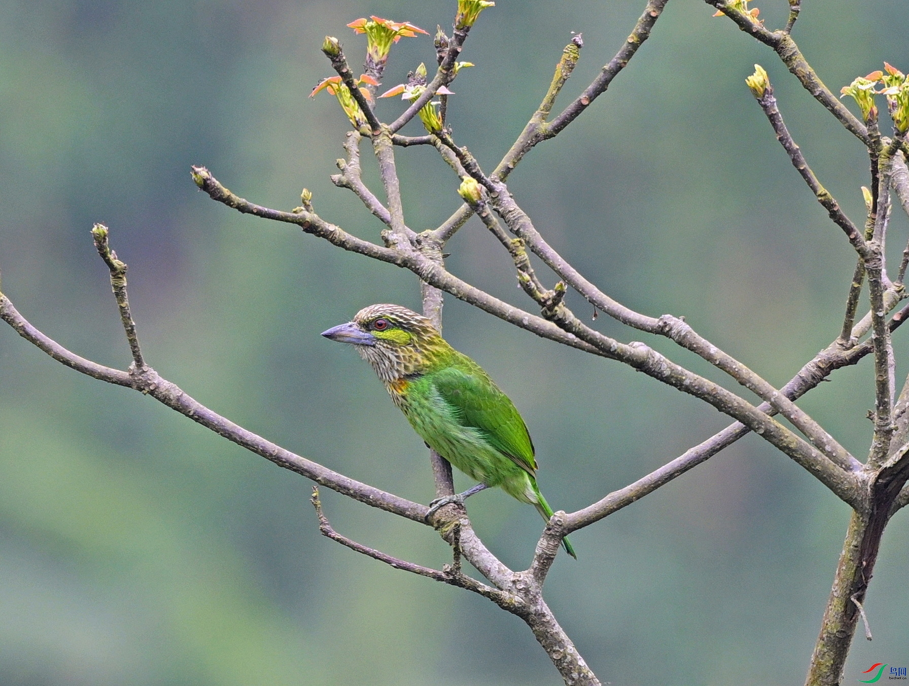 DSC_9994.JPG