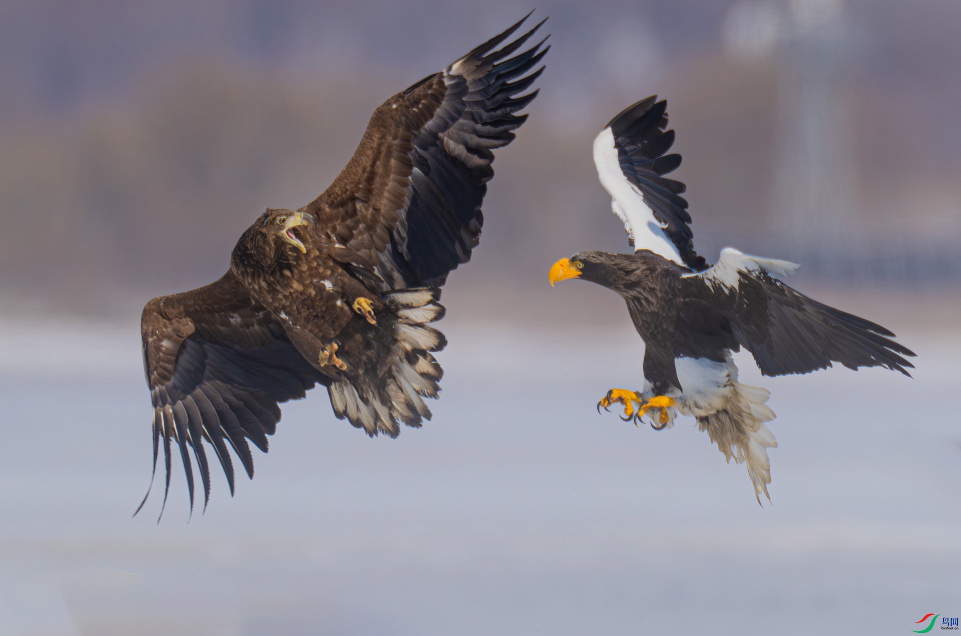 ��ͷ����