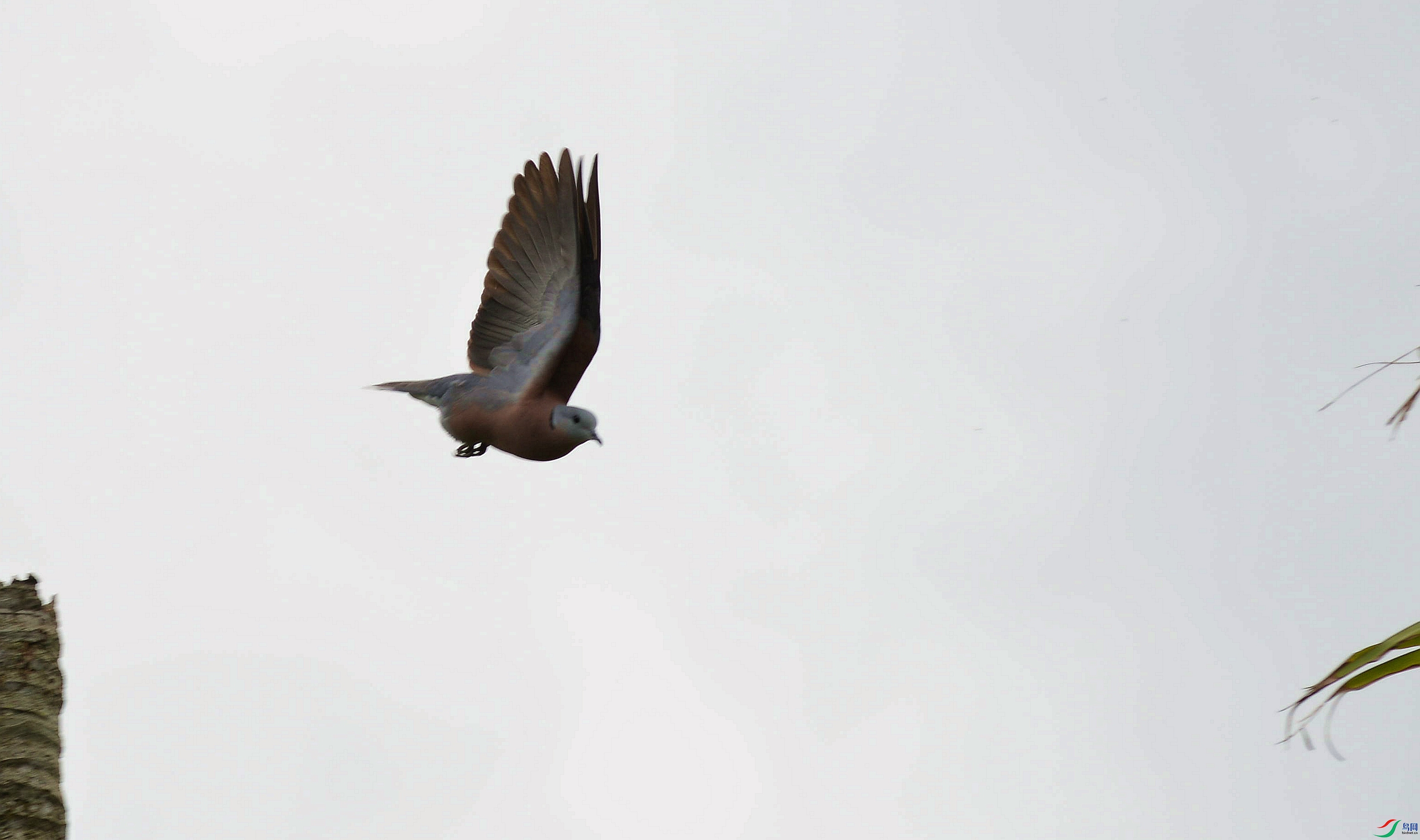DSC_0179a_����.jpg