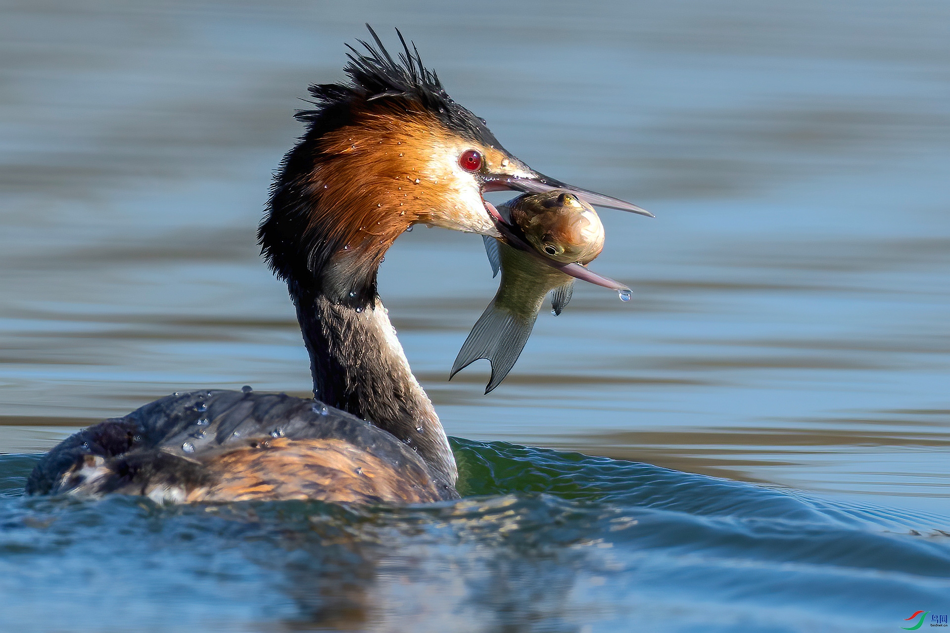 _05A0337 ����_����.jpg