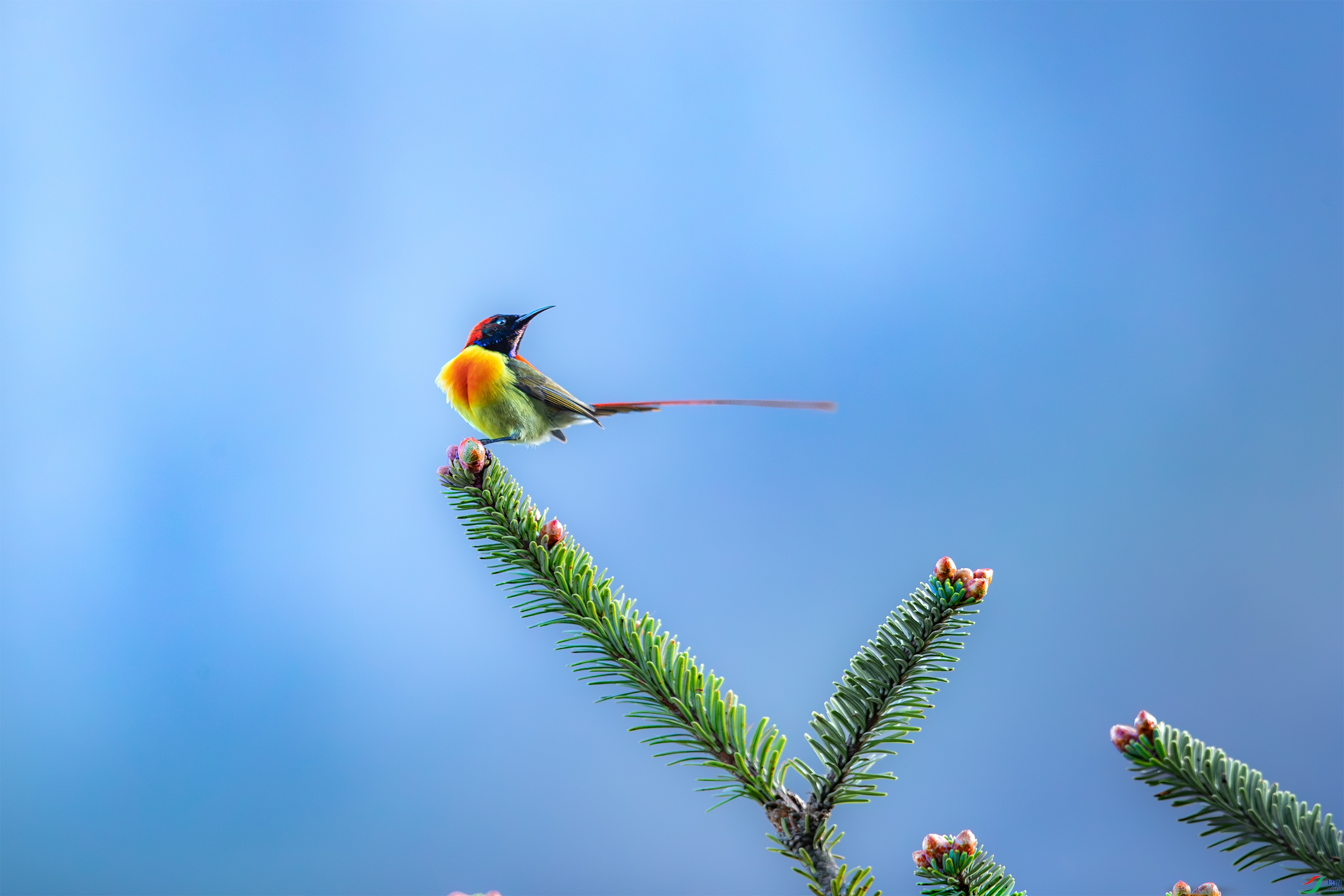 AY8I0051 ����.jpg