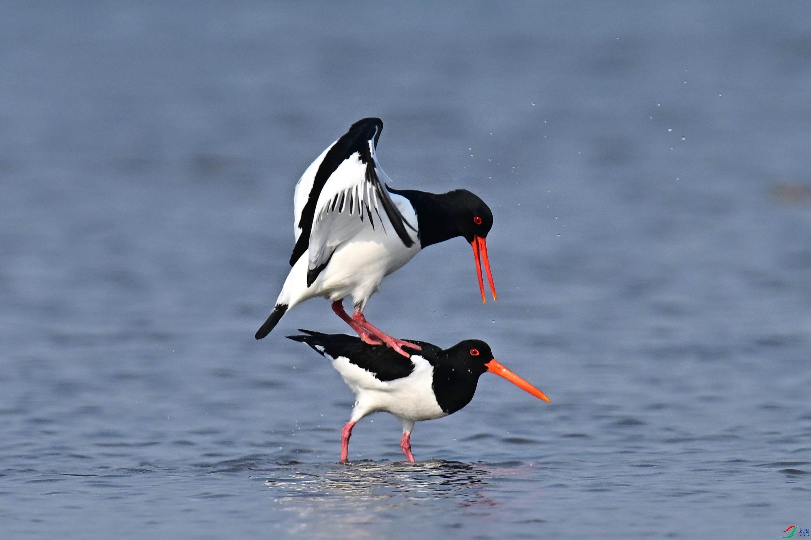 ���� (4).jpg