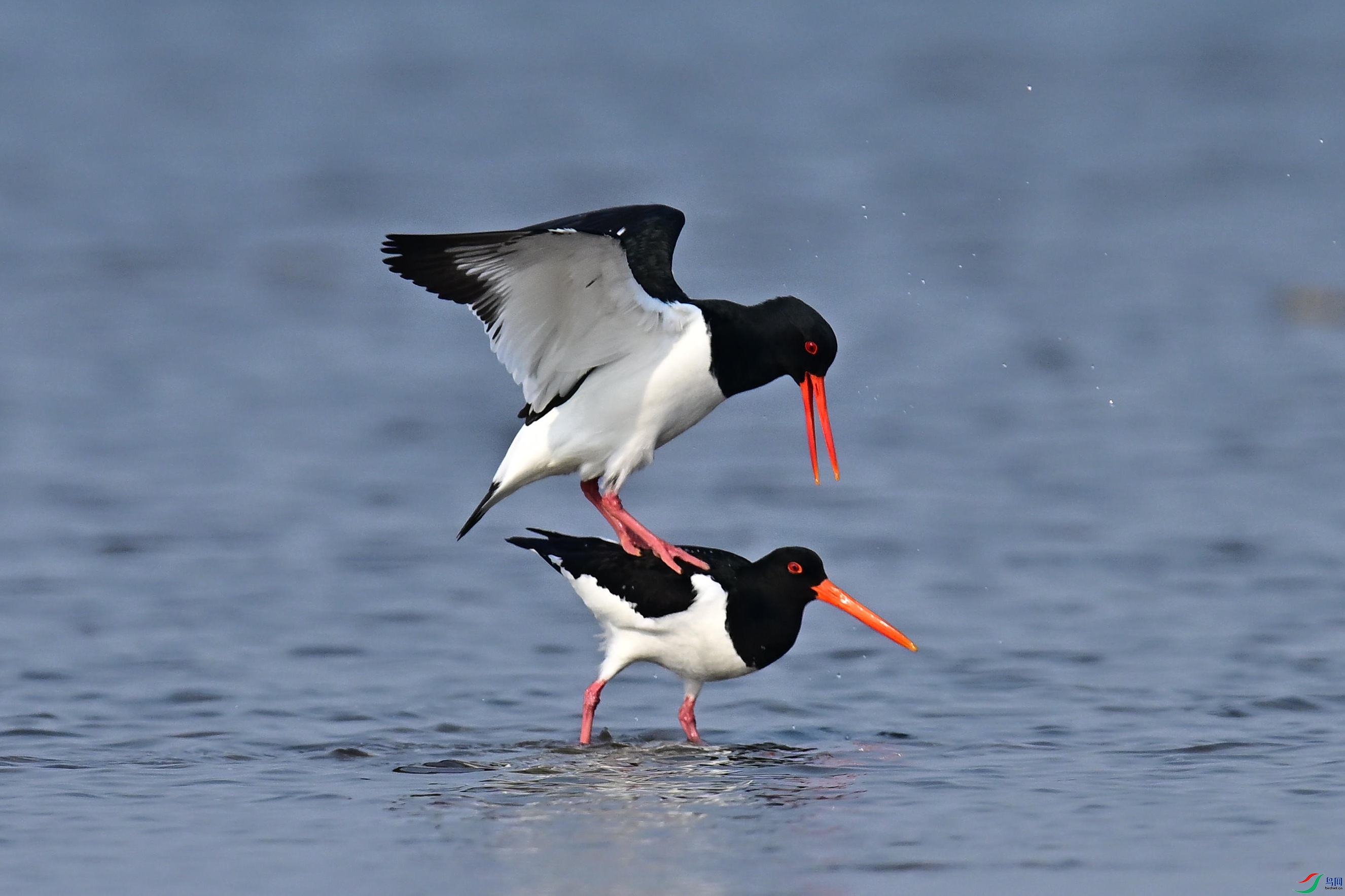 ���� (6).jpg