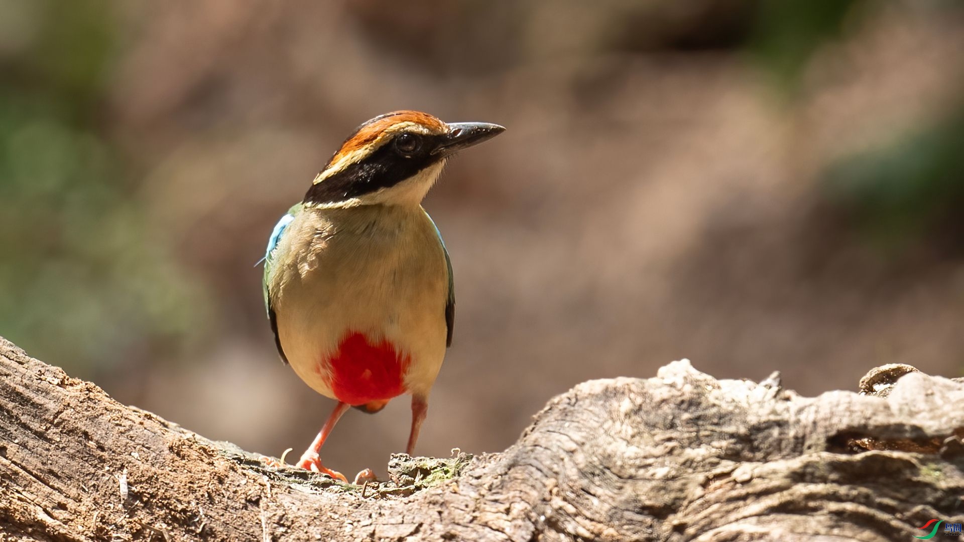 _DSC6925 ����.jpg