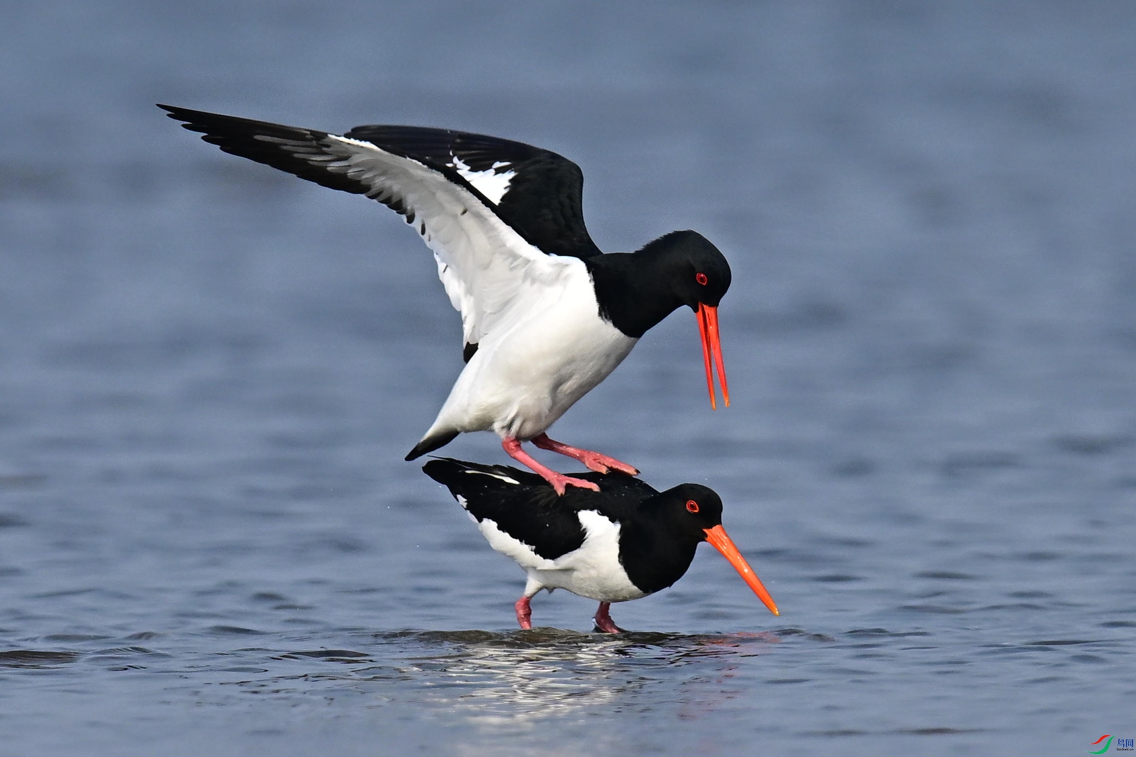 ���� (12).jpg