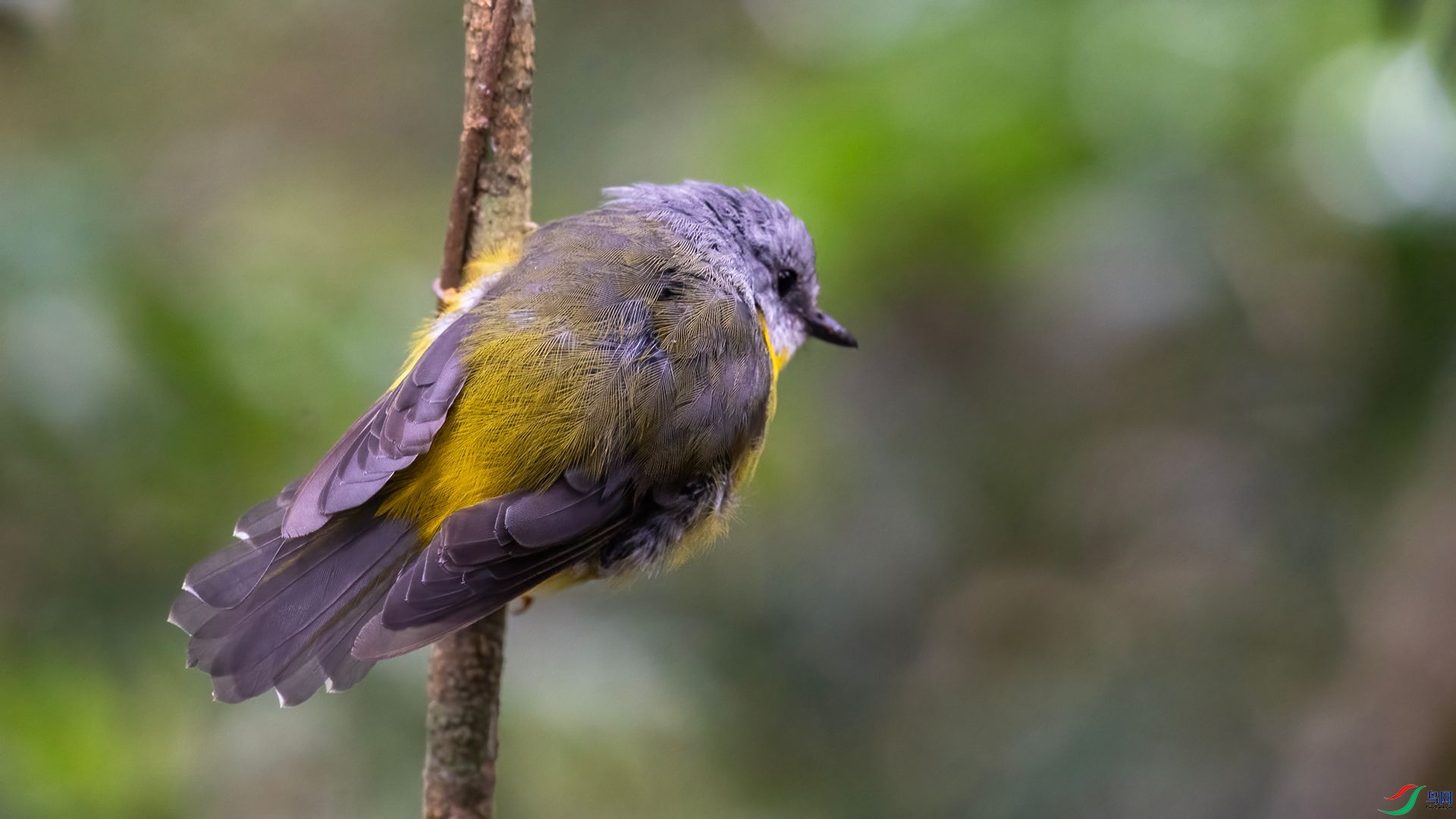 _DSC7030 ����.jpg