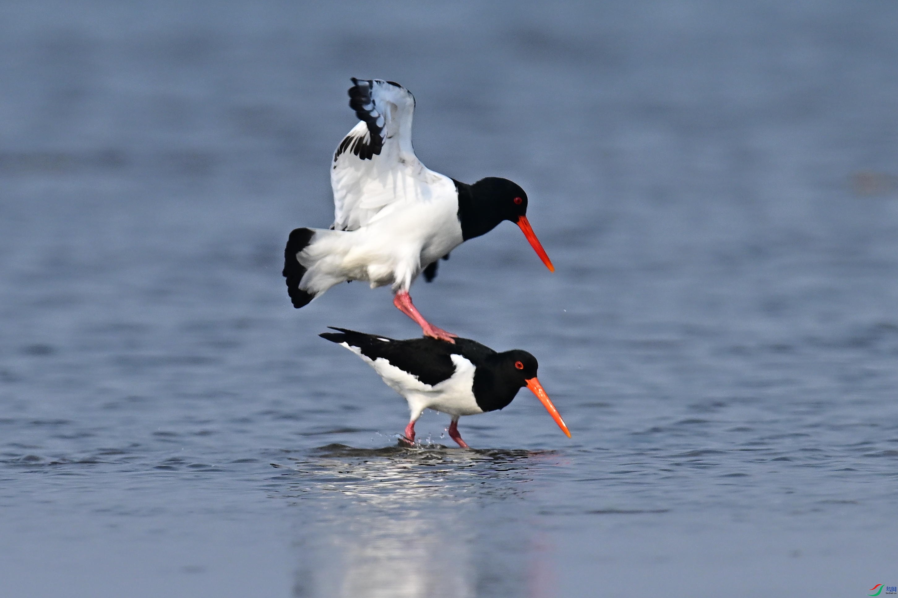 ���� (13).jpg