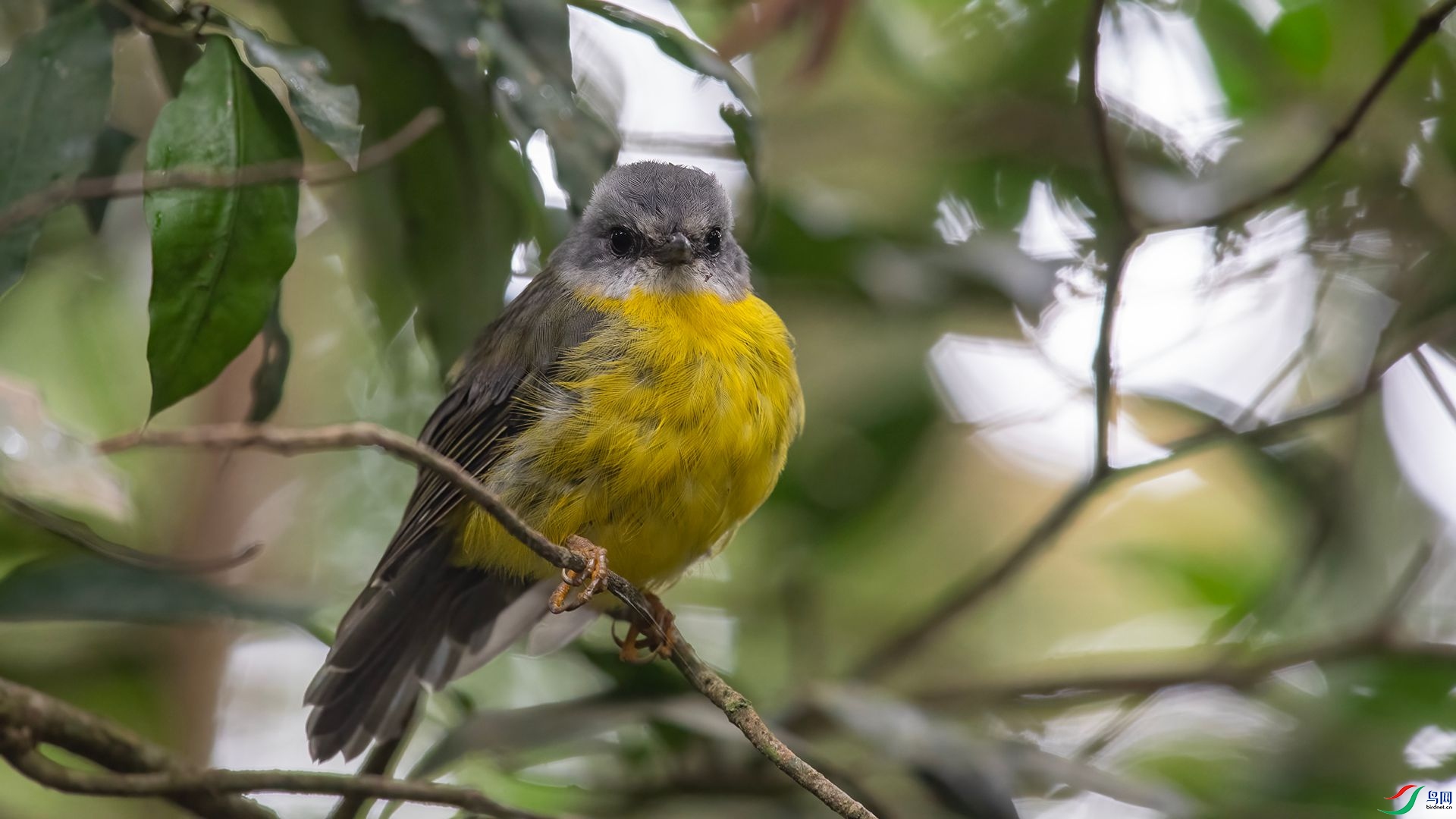 _DSC7073 ����.jpg