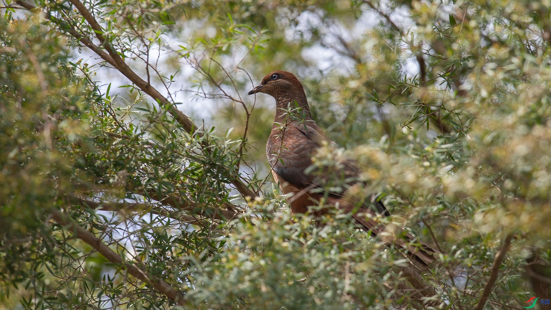 _DSC7608 ����.jpg