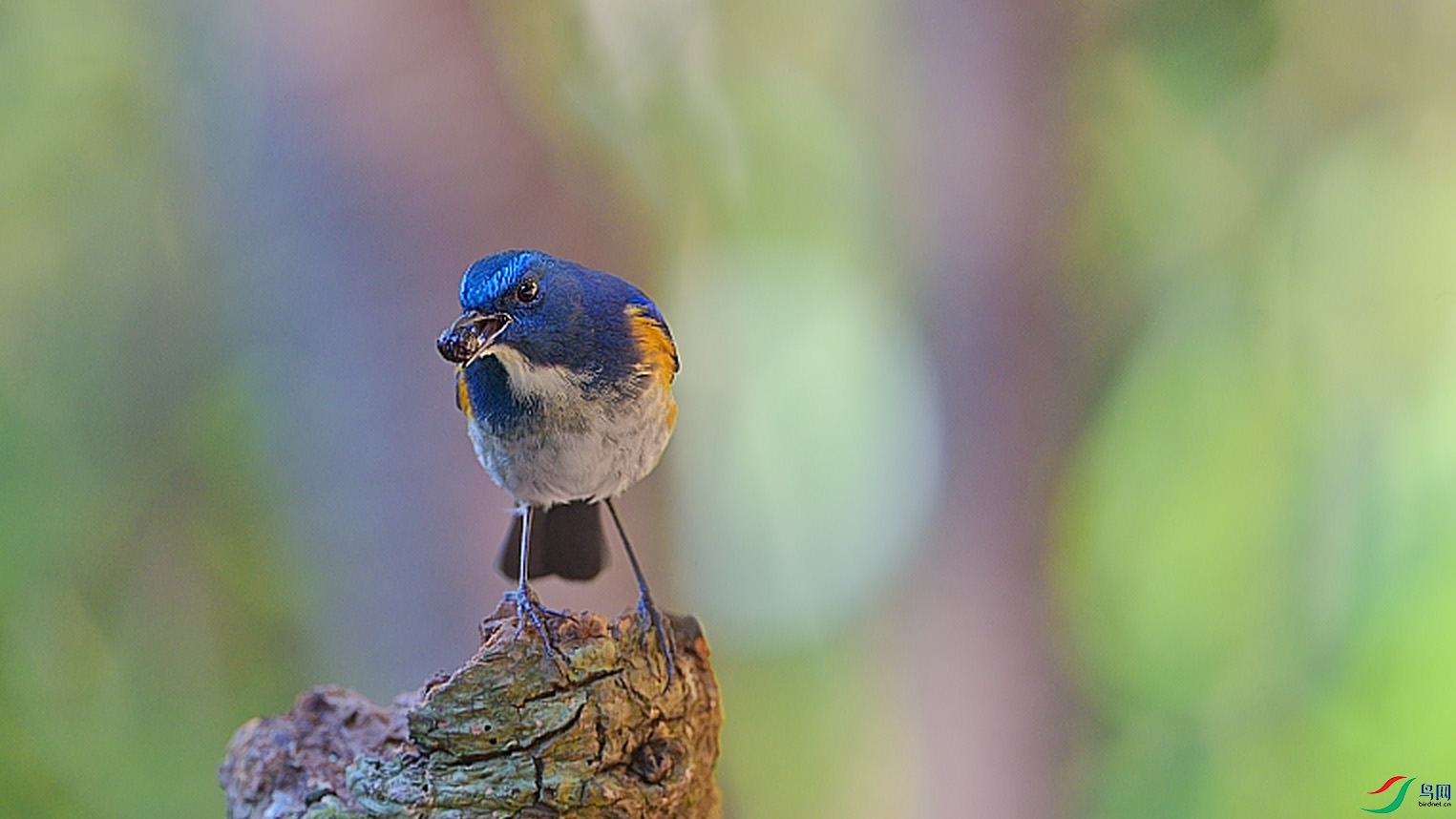 {5691C5F2-5630-4A26-B192-DE9639F80C1B} ����.jpg