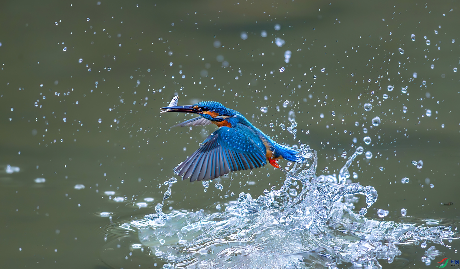 _S7I7234------33  .jpg