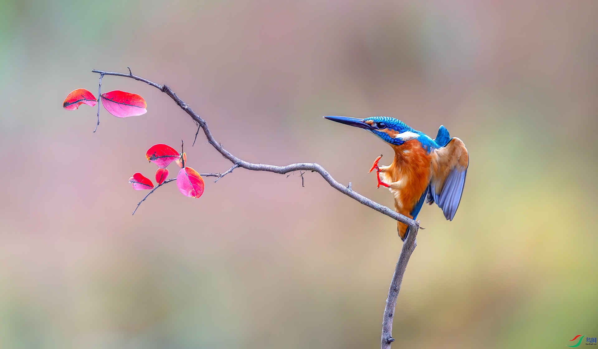 _S7I7190-----33  .jpg