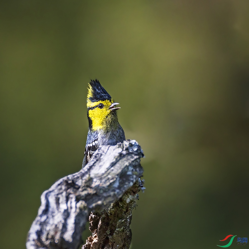 _B3A2930�Ƽ�ɽȸ-̽ͷ̽�� ����.jpg