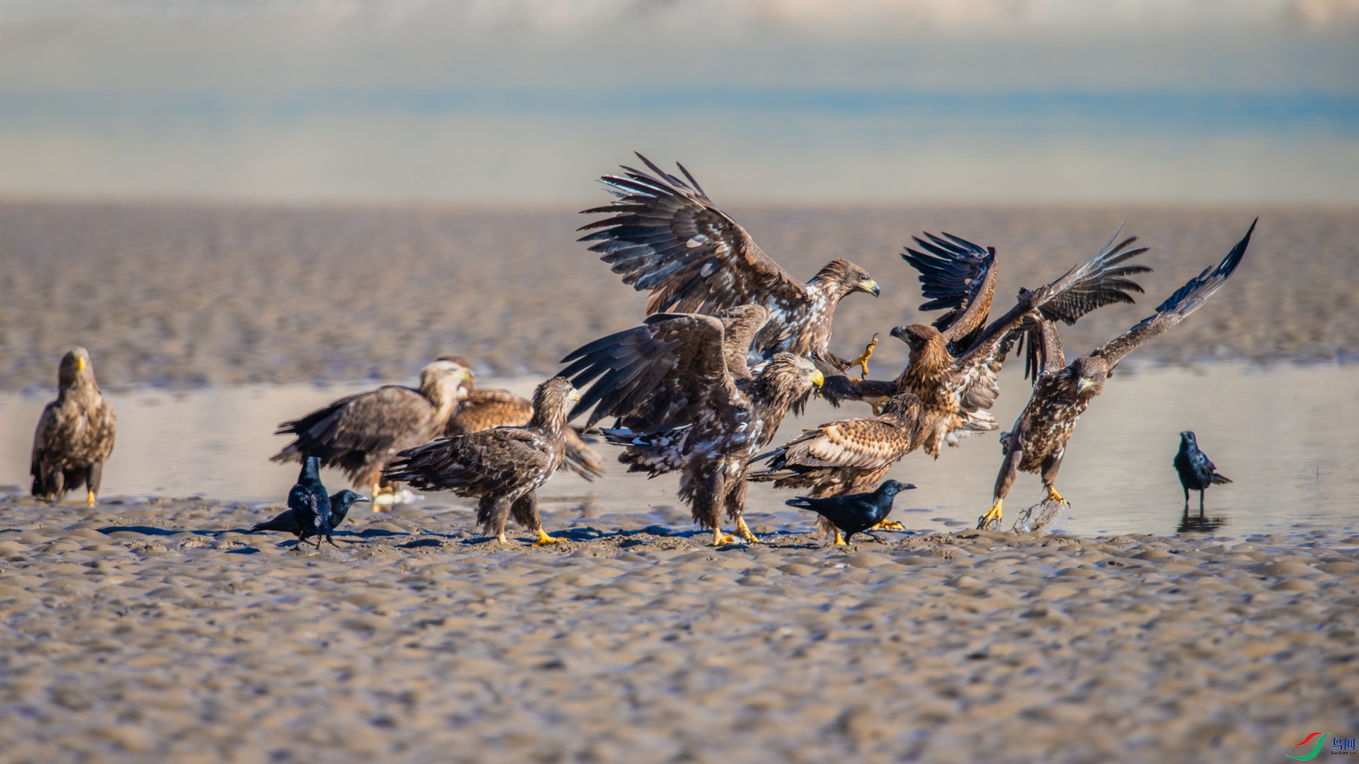 _DSC4224-1_����.jpg