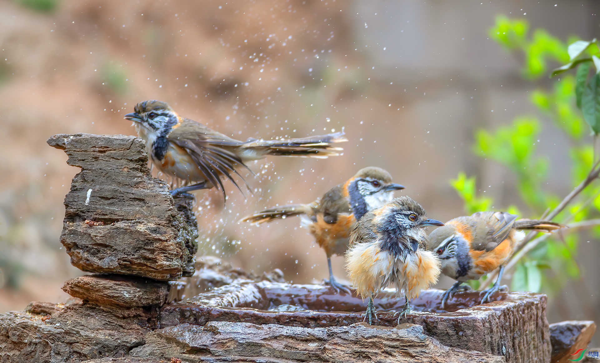 _S7I0043-----33  .jpg