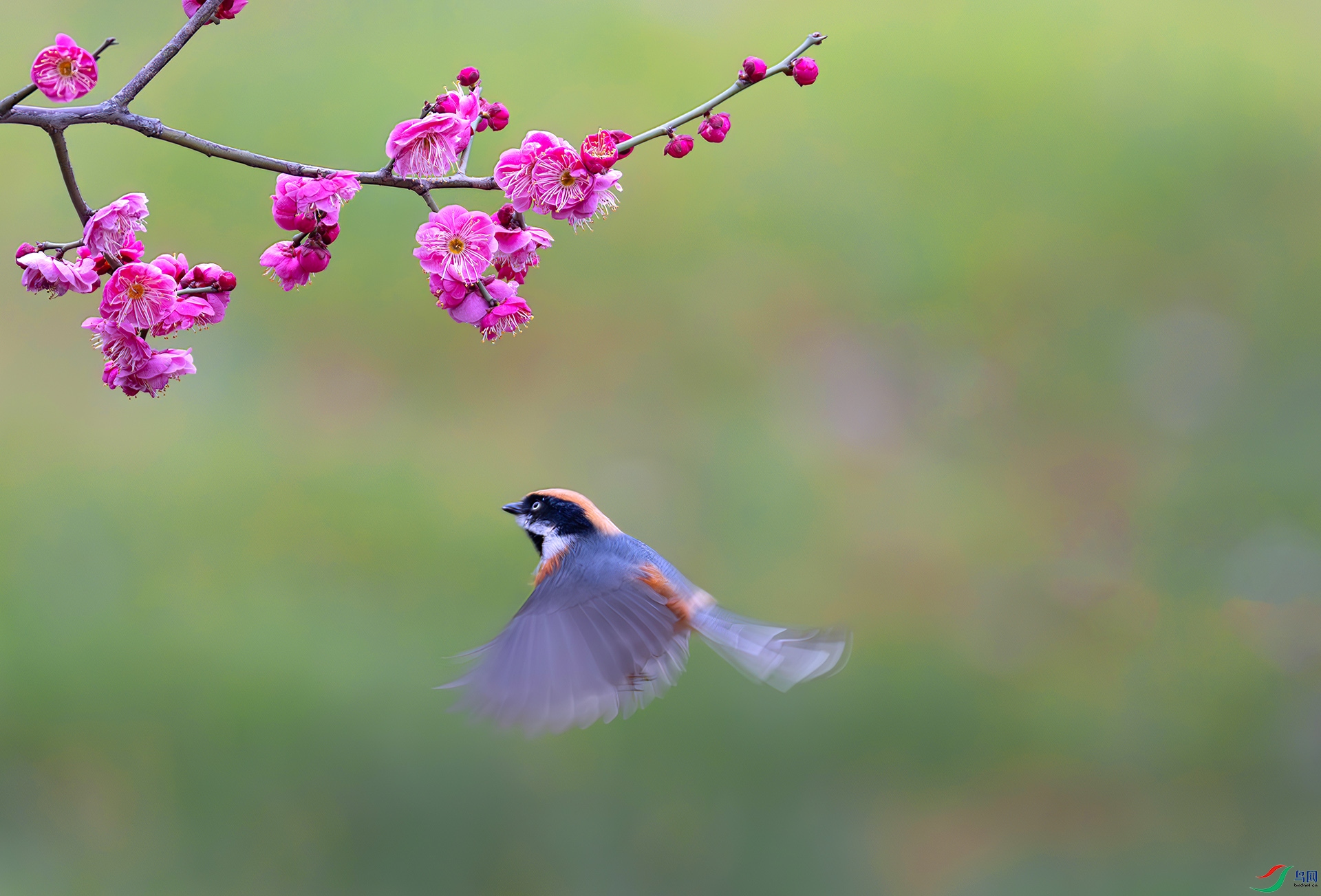 060A9790-----33  .jpg