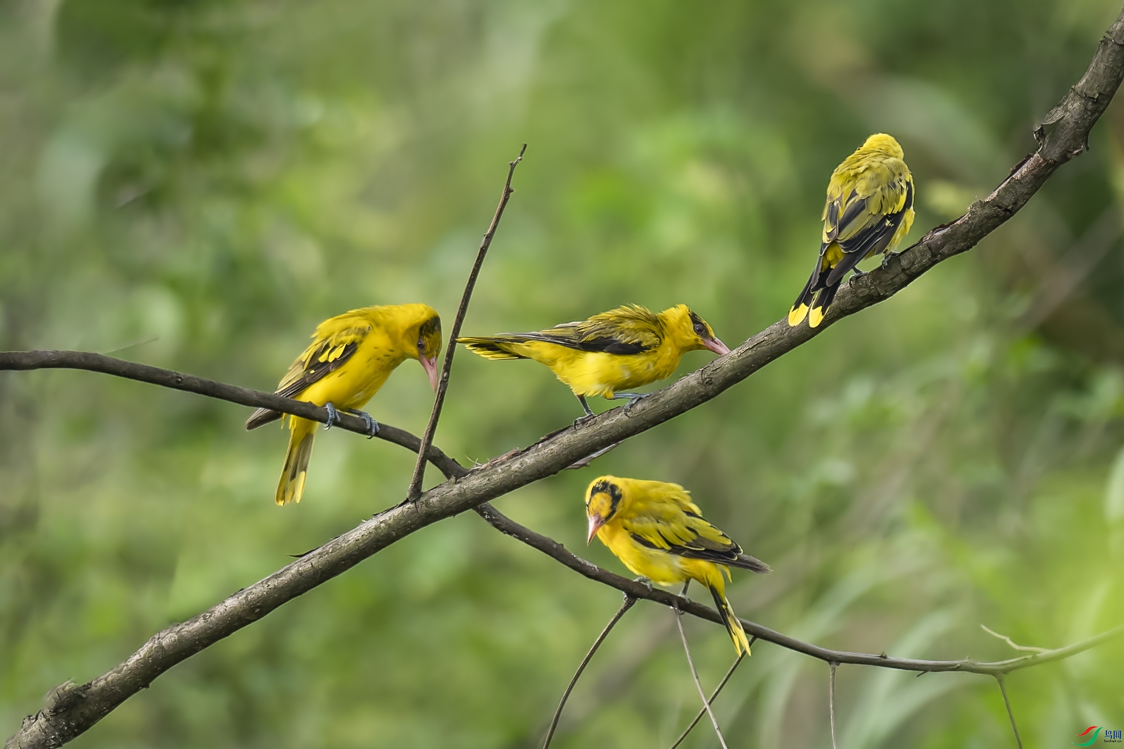 DSC_7099.jpg