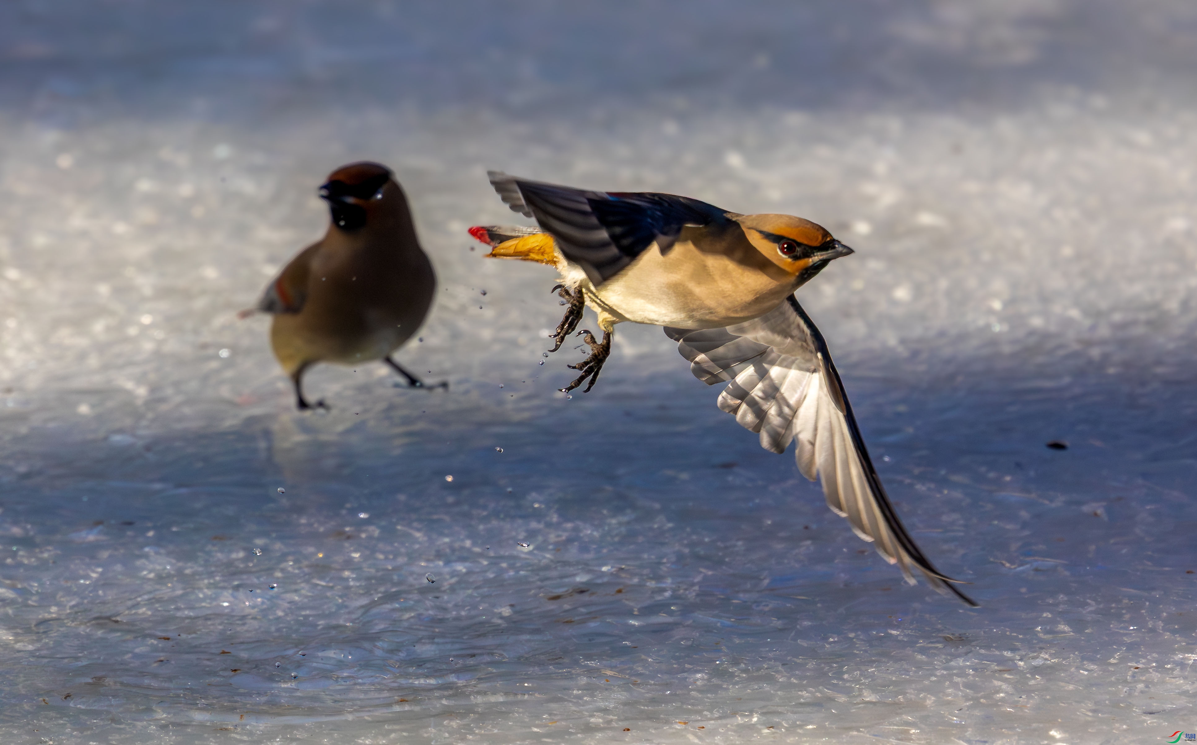 5N2A7512-1 ����.jpg