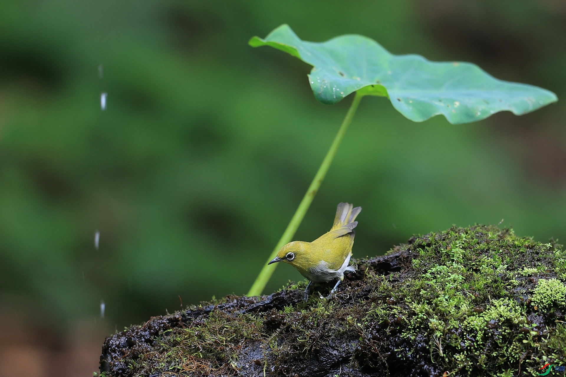 AK1I8220�� ��2.JPG