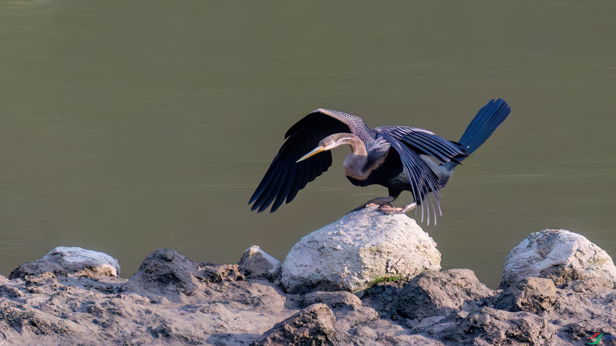 DSC_6125.jpg