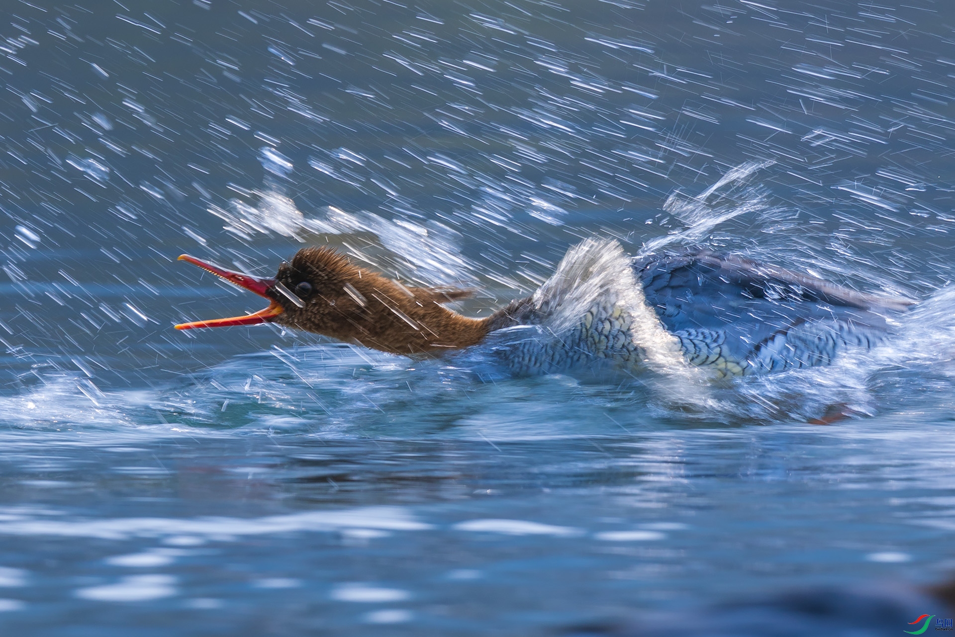 _F9A8962 ����.jpg