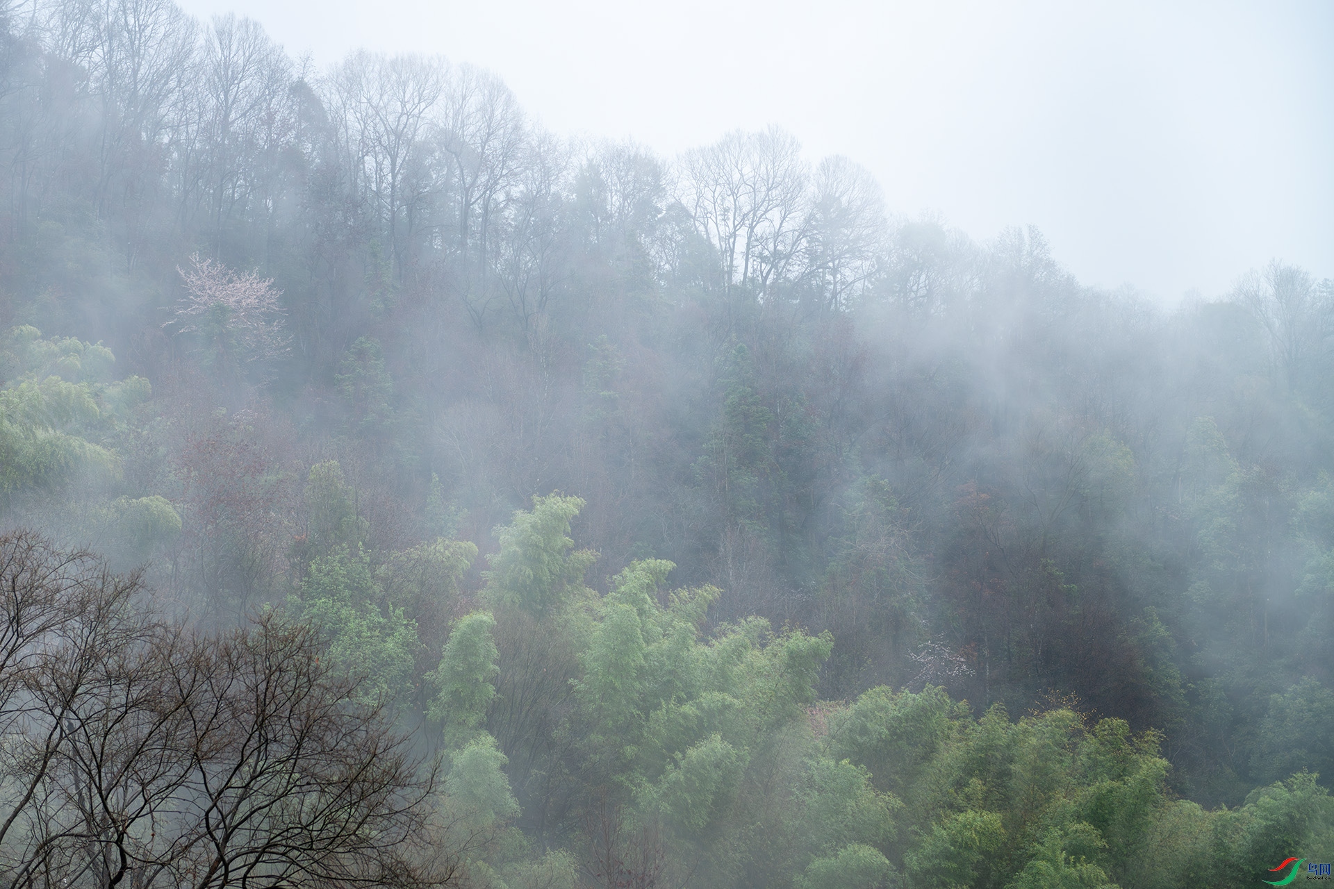 _DSC8834.jpg