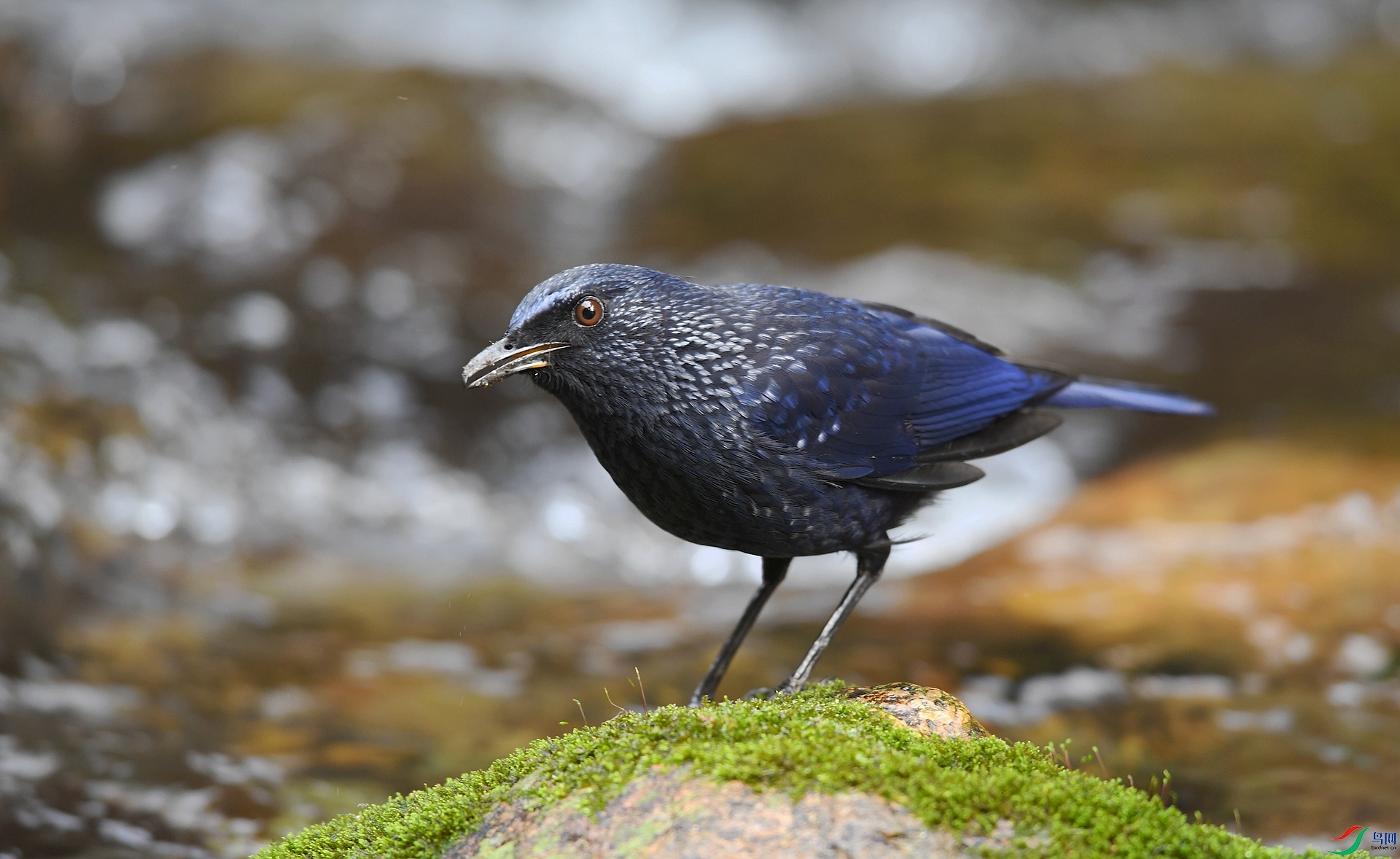 DSC_5842.jpg