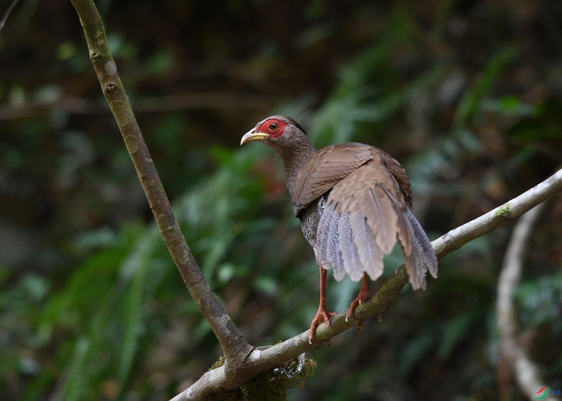 DSC_5979.jpg