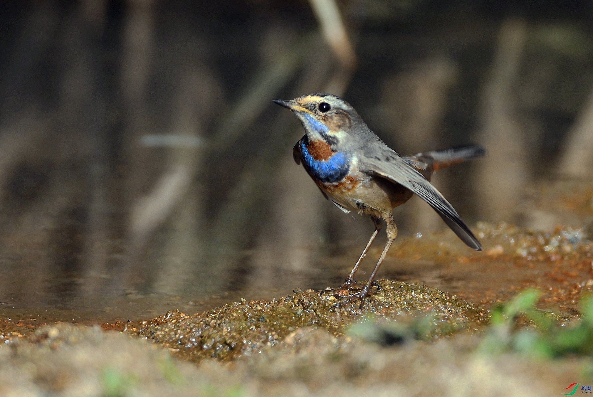 DSC_6097.jpg
