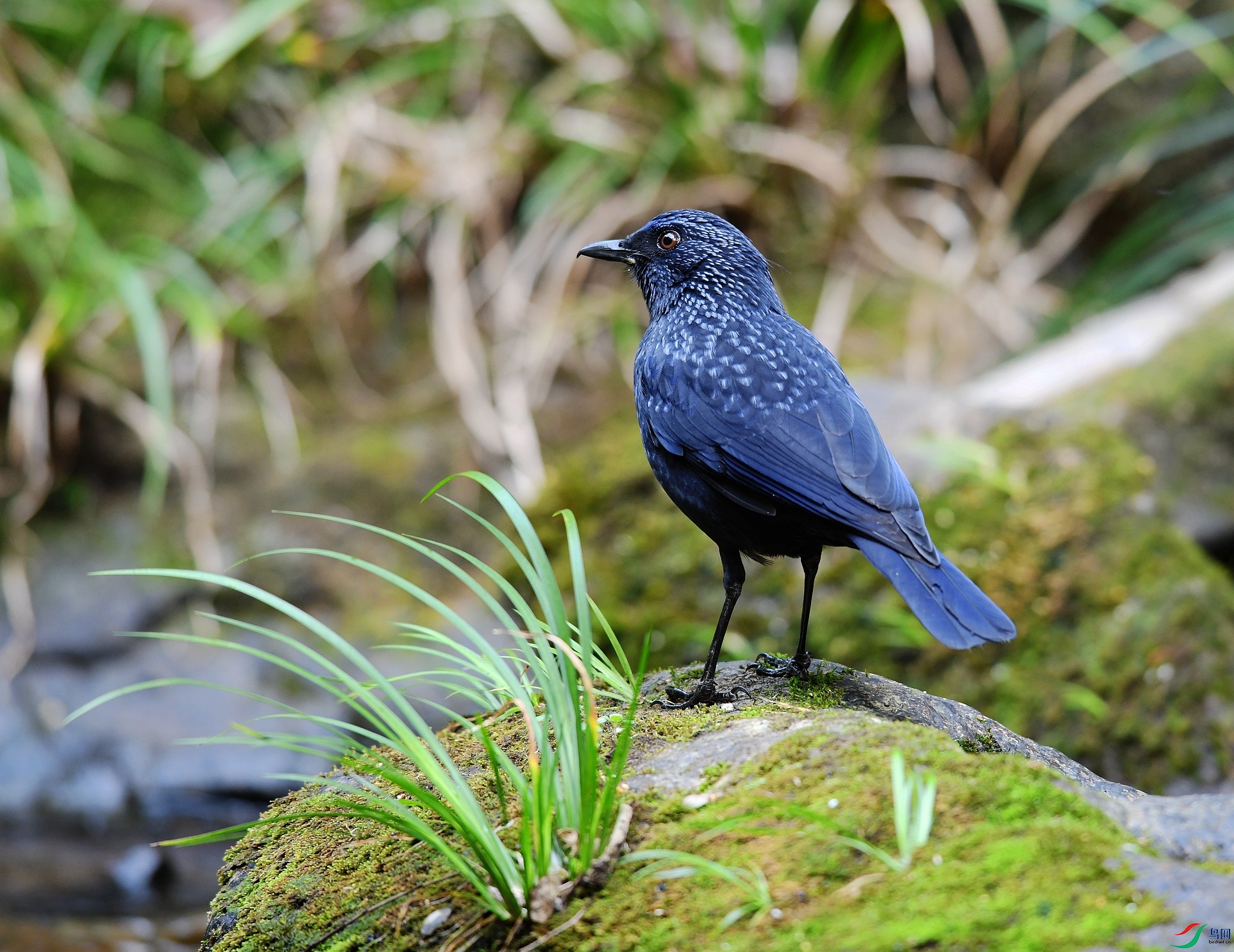 DSC_5893.jpg
