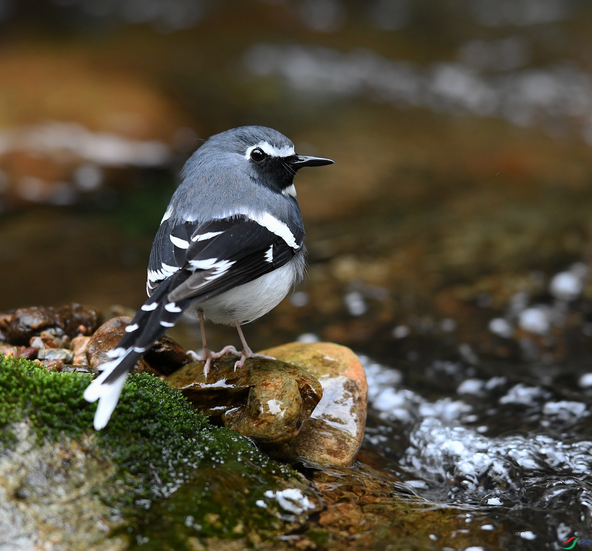 DSC_6583.jpg