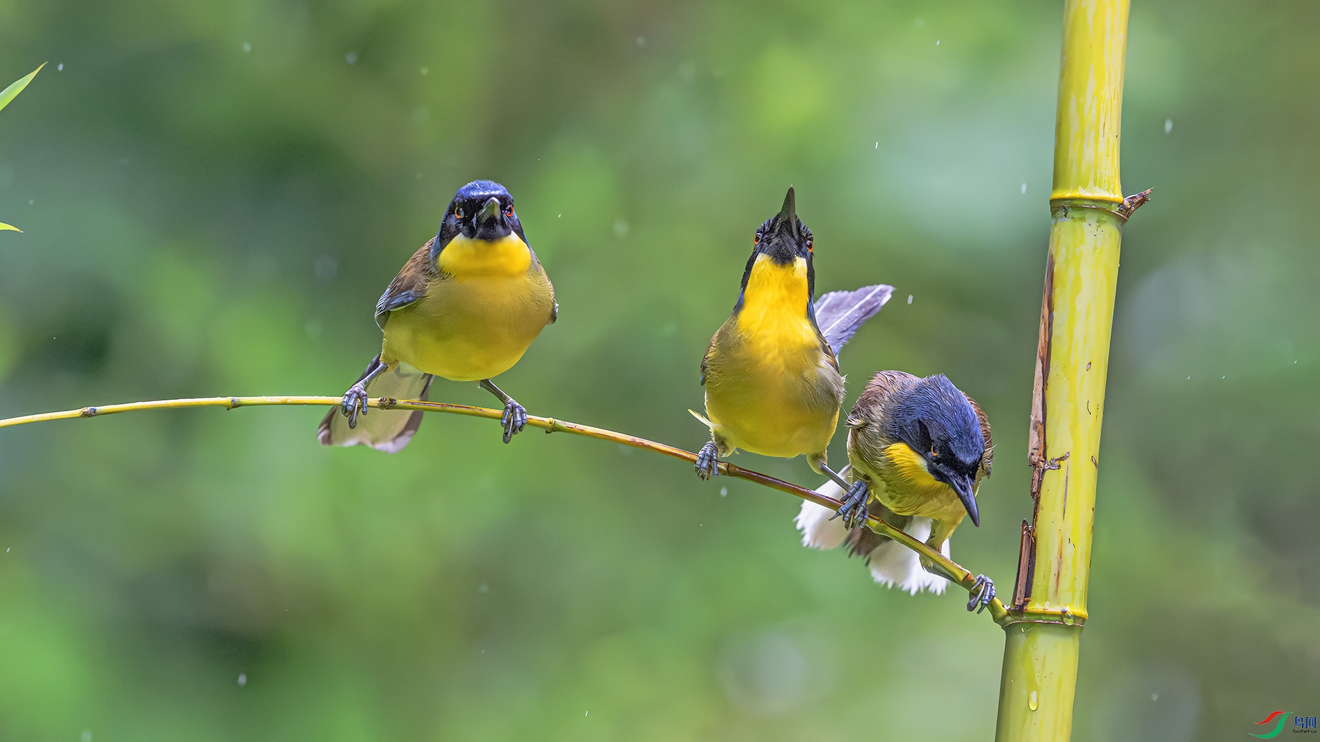 DSC_0369 ����.jpg