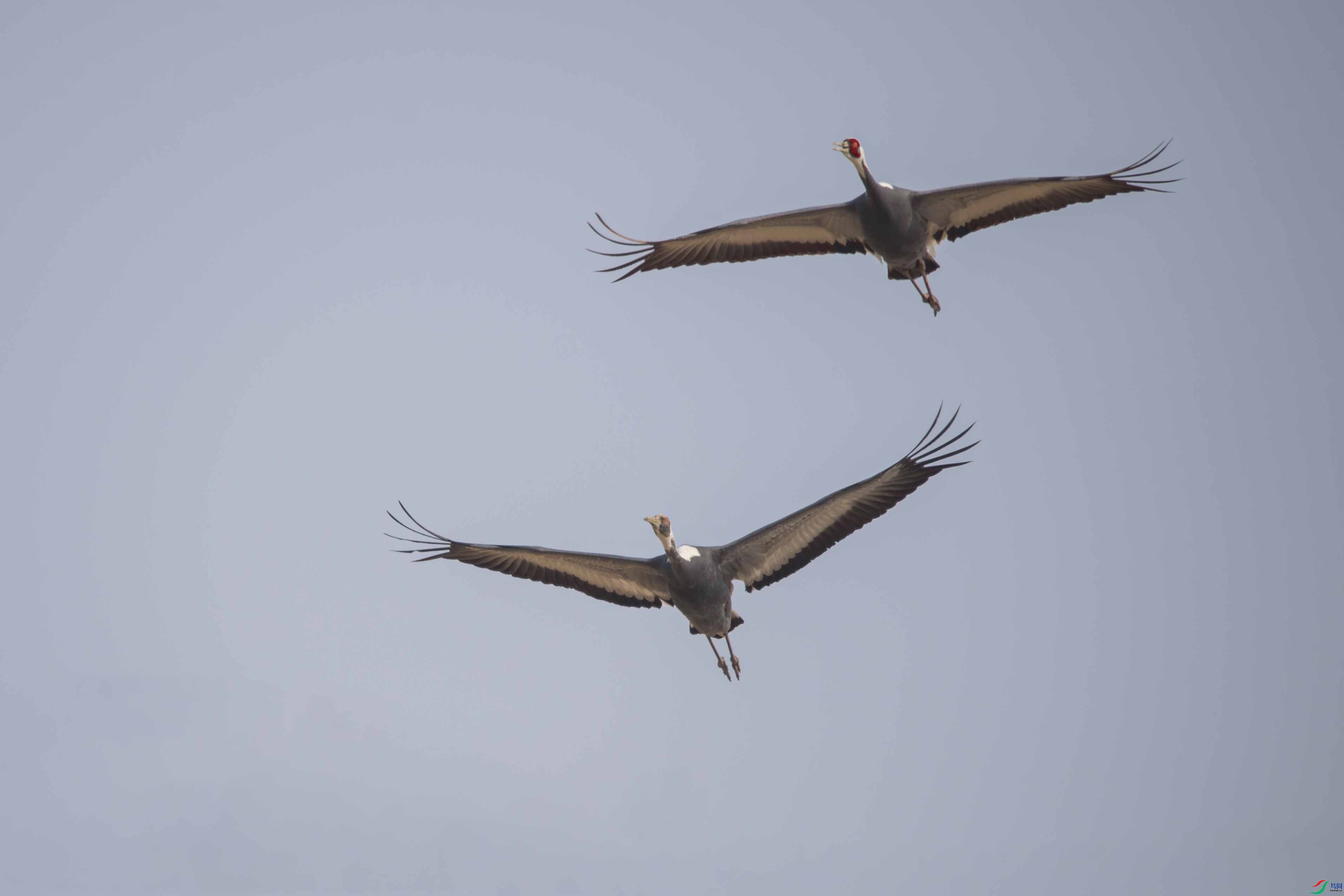 _LYF5079-2 ����.jpg