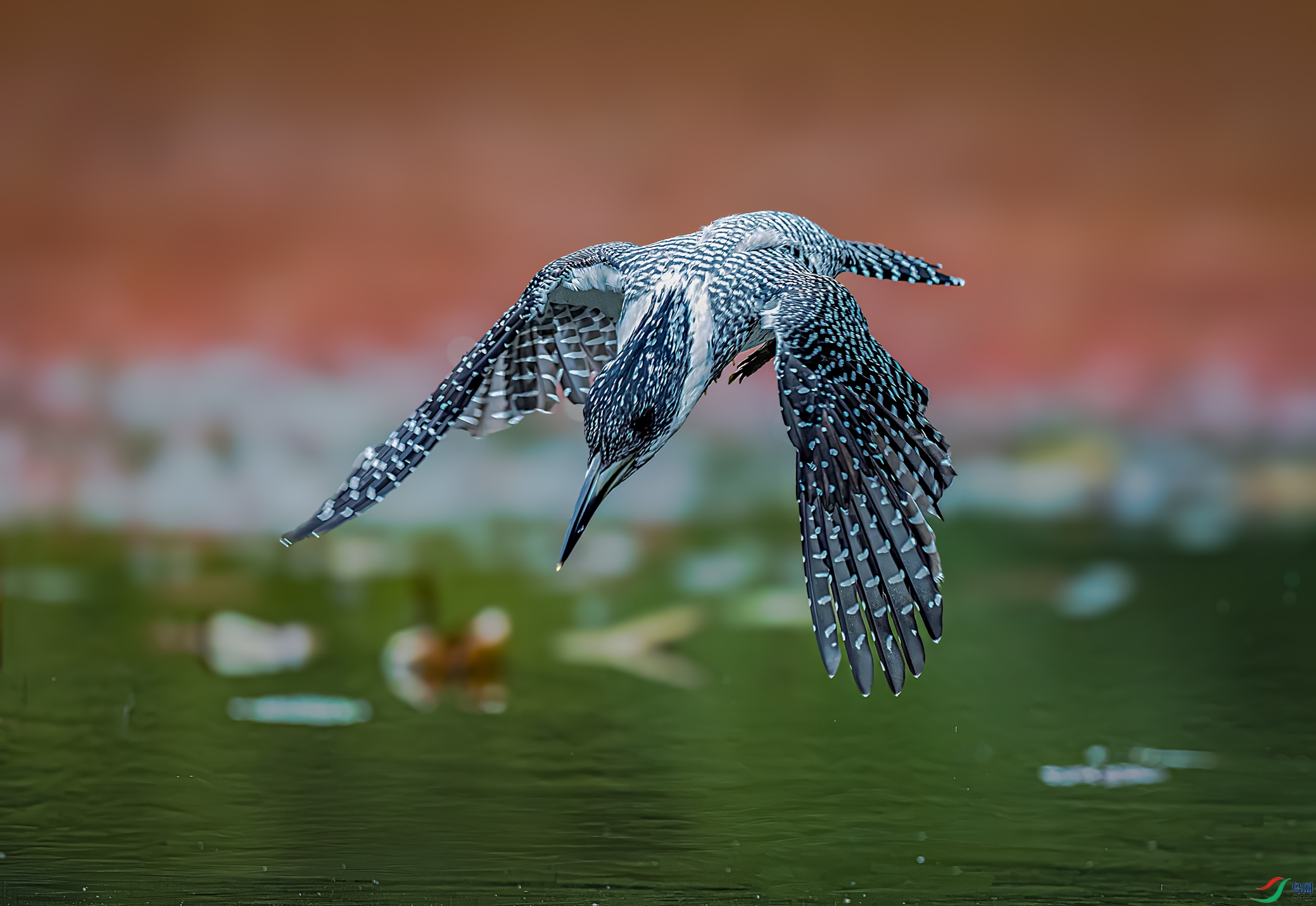 ����Ŀ��