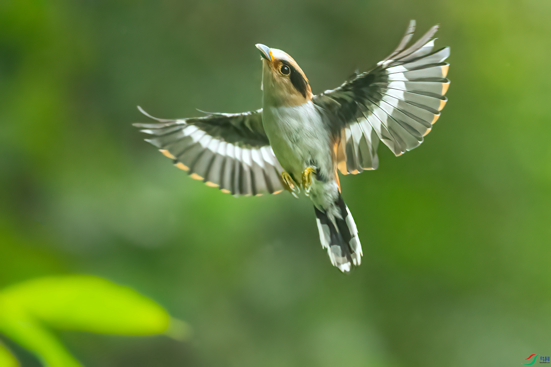 B86I6570 _����.jpg