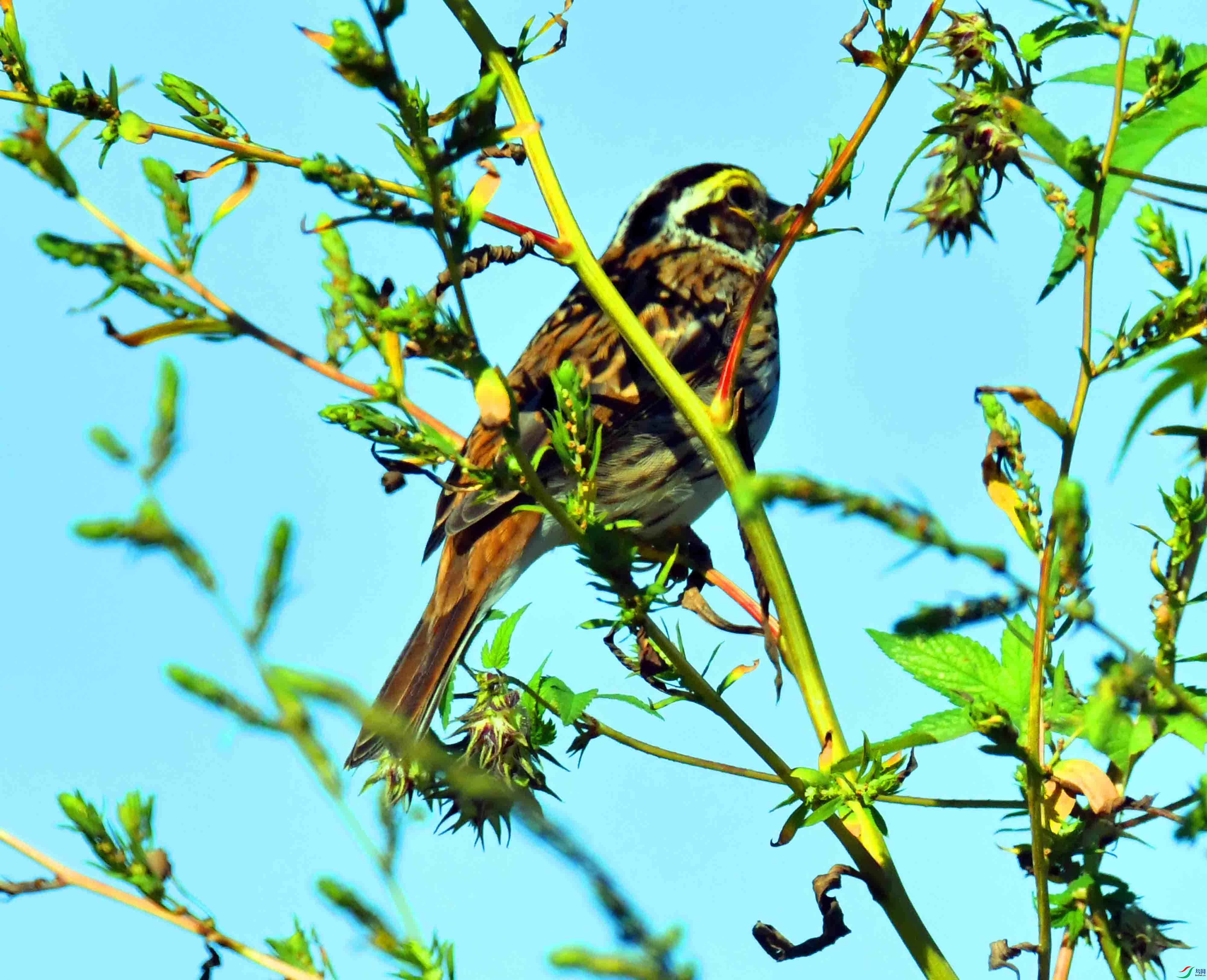 DSC_0880.JPG