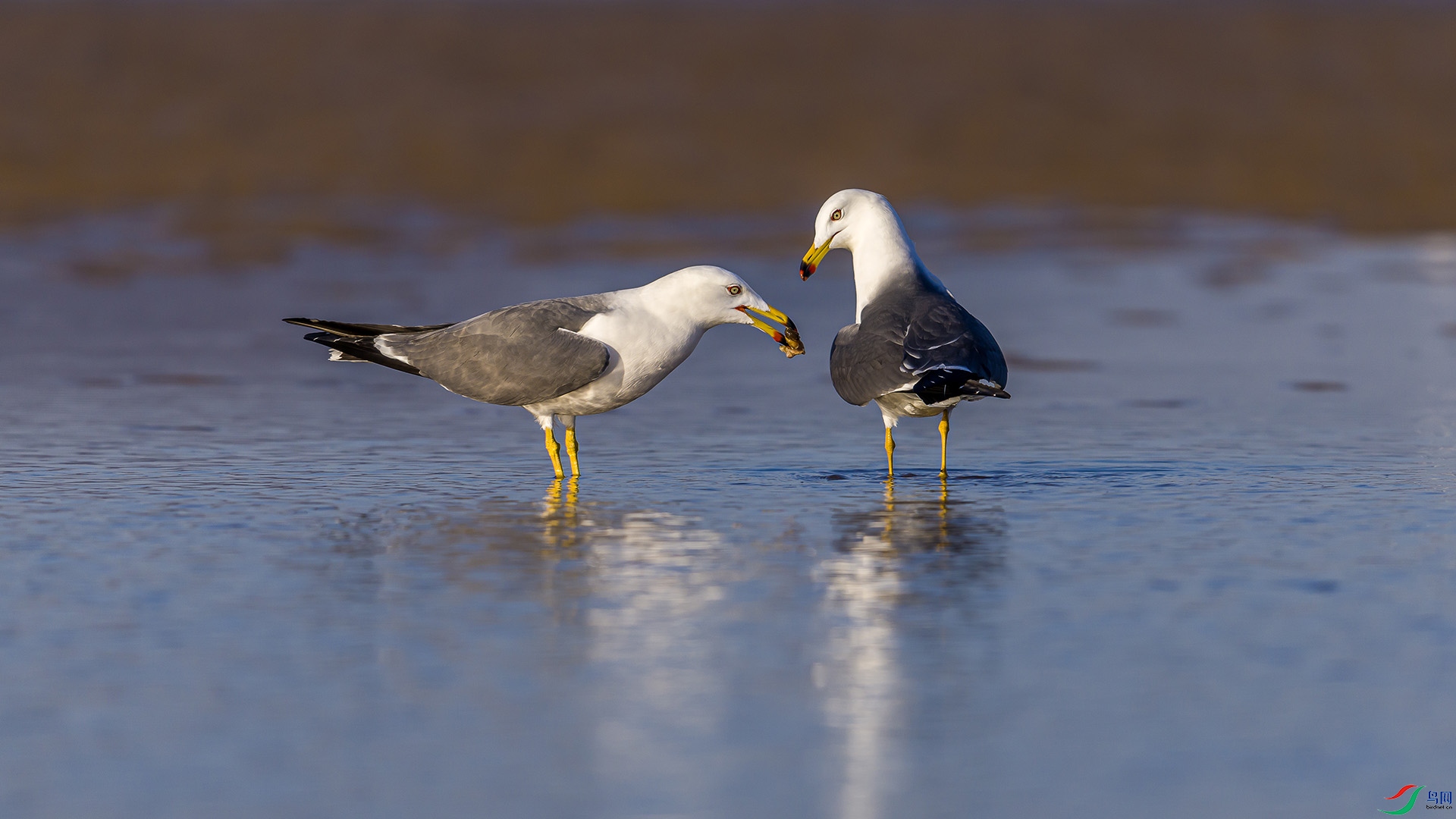 051A2225 ����n.jpg