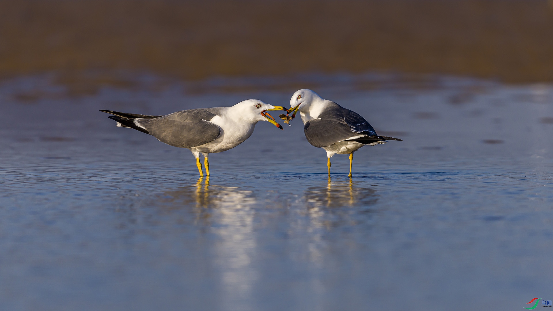 051A2229 ����n.jpg