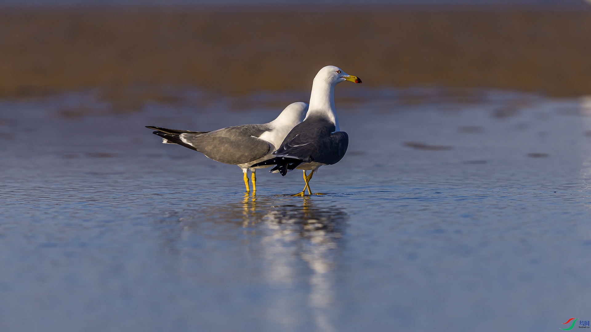 051A2217 ����n.jpg