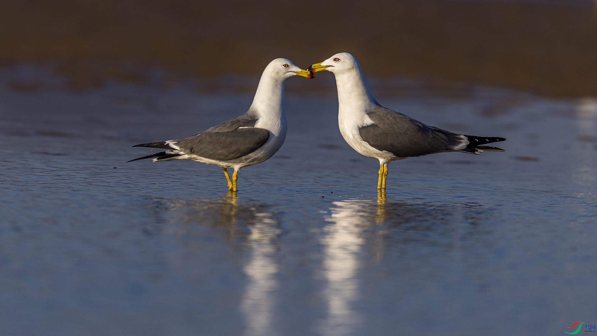 051A2265 ����n.jpg