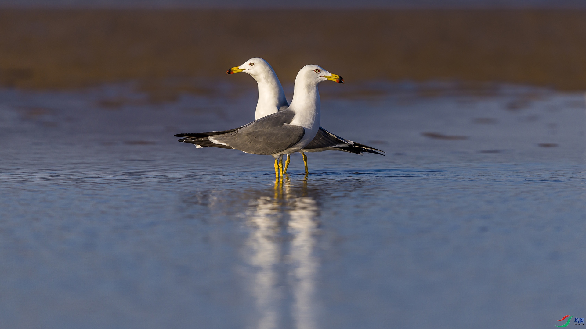 051A2245 ����n.jpg