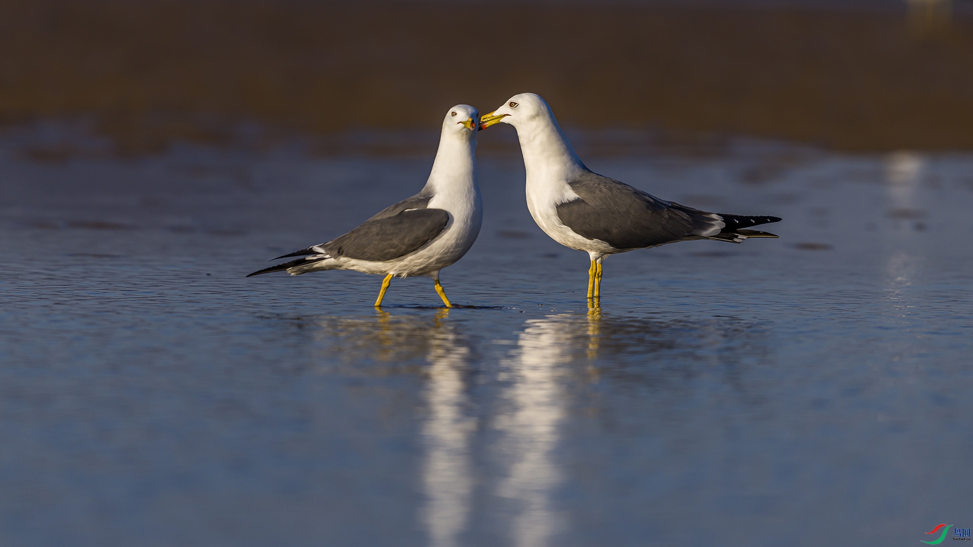 051A2271 ����n.jpg