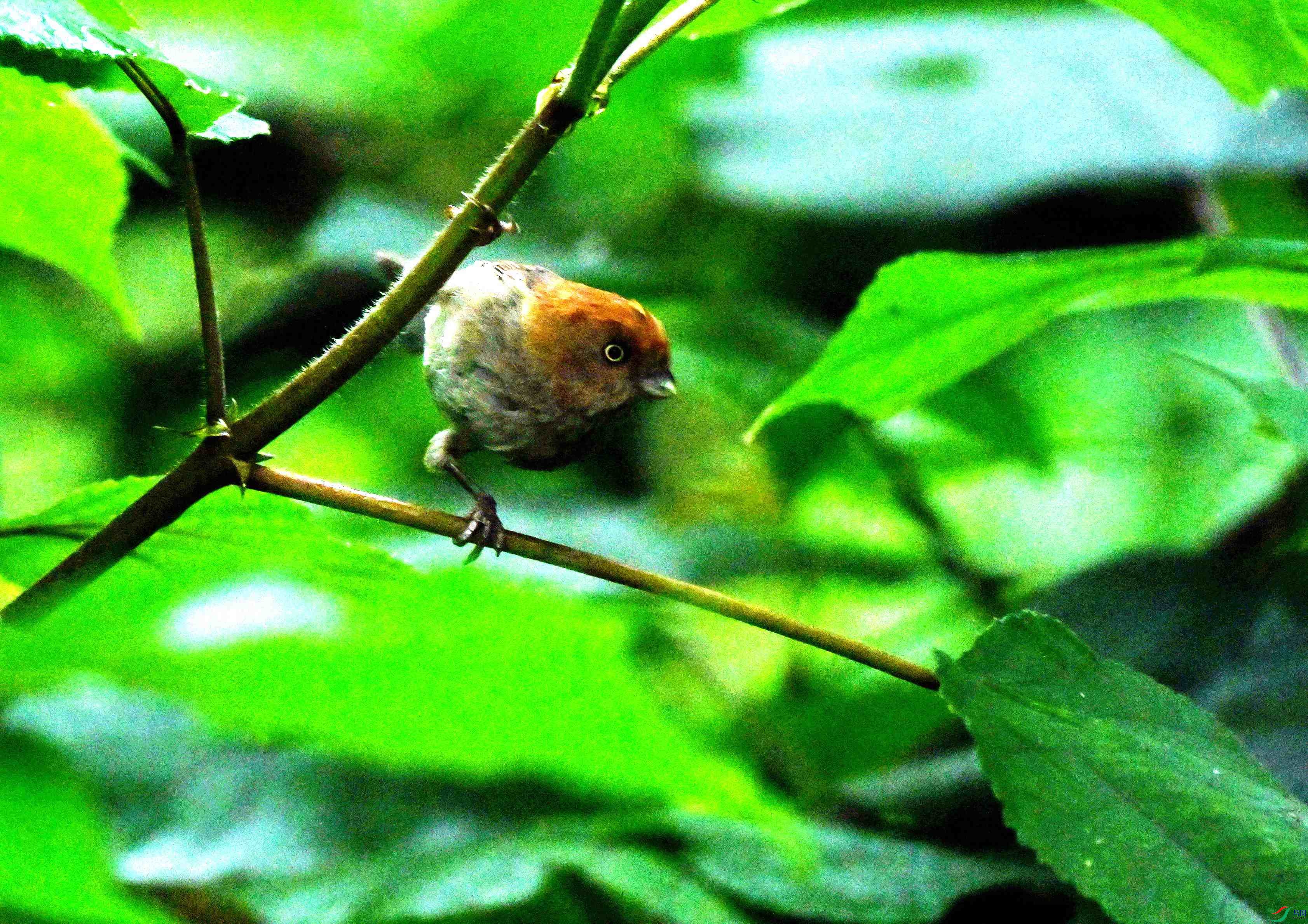 DSC_9551.JPG