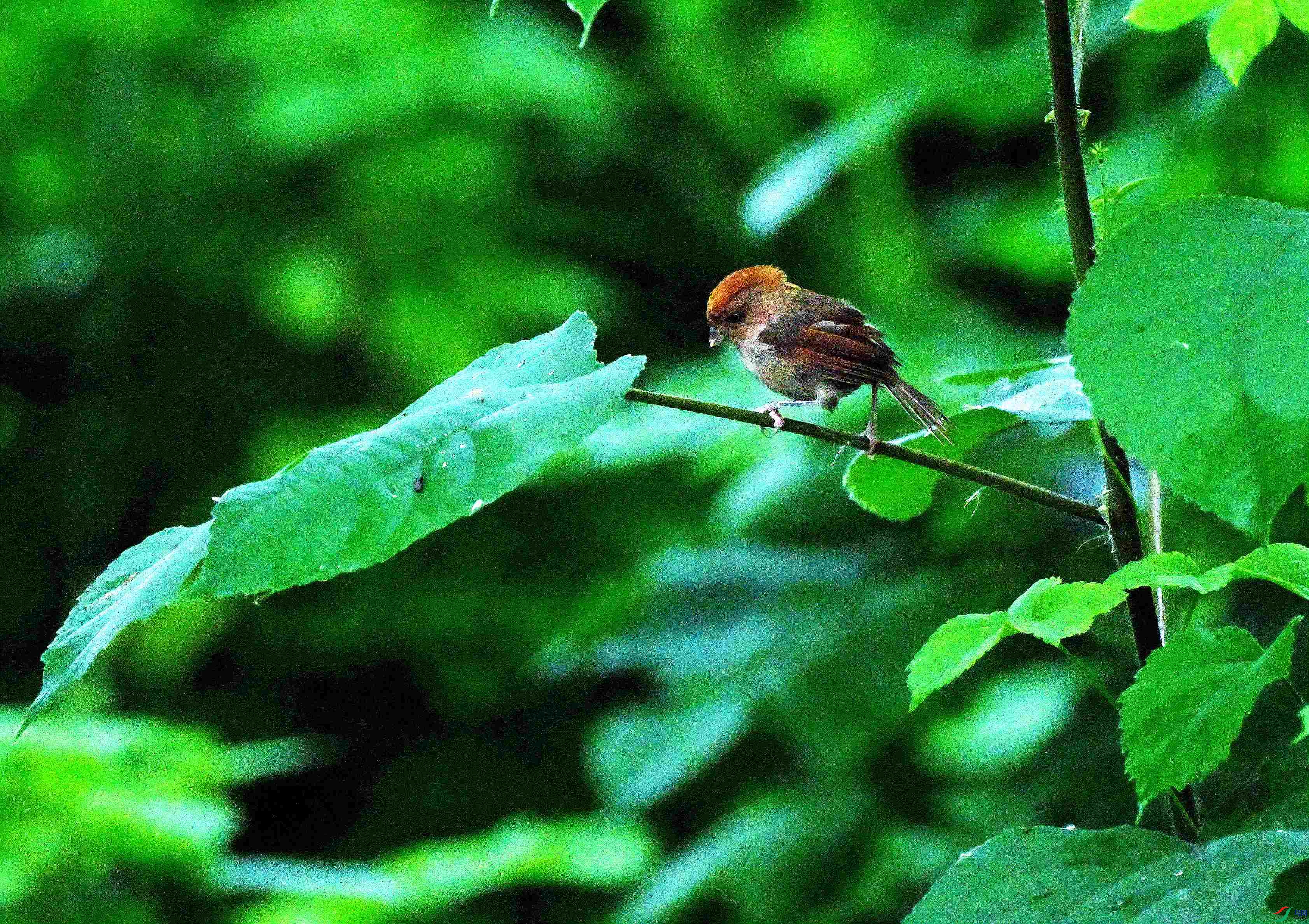 DSC_9479.JPG