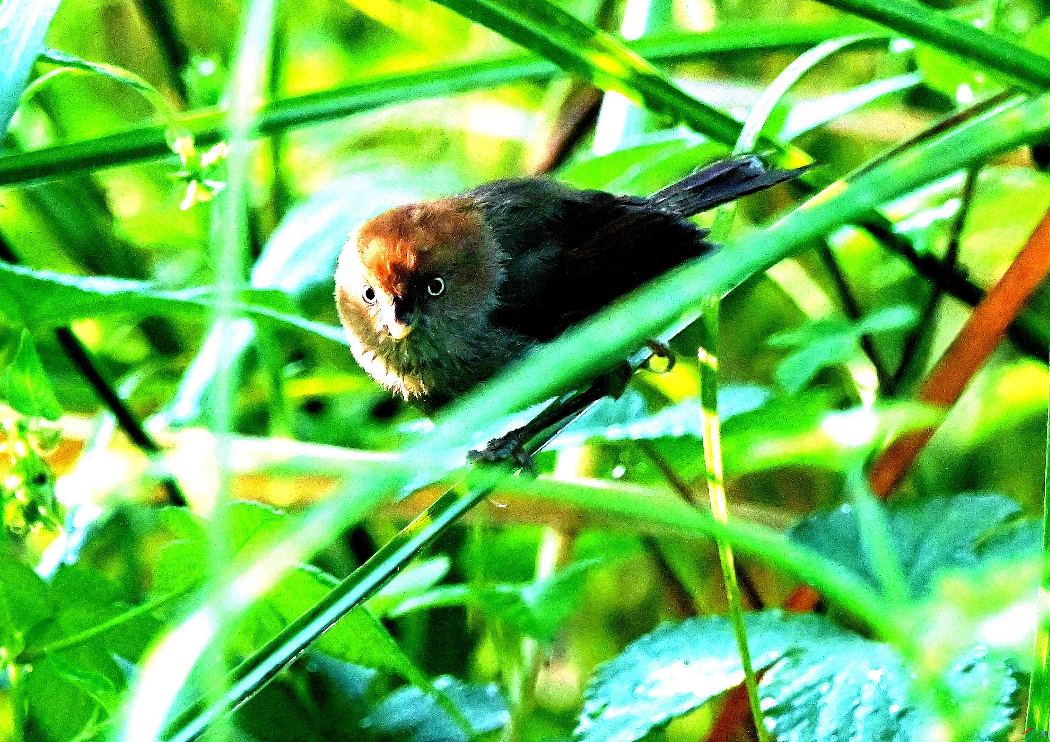 DSC_8843.JPG