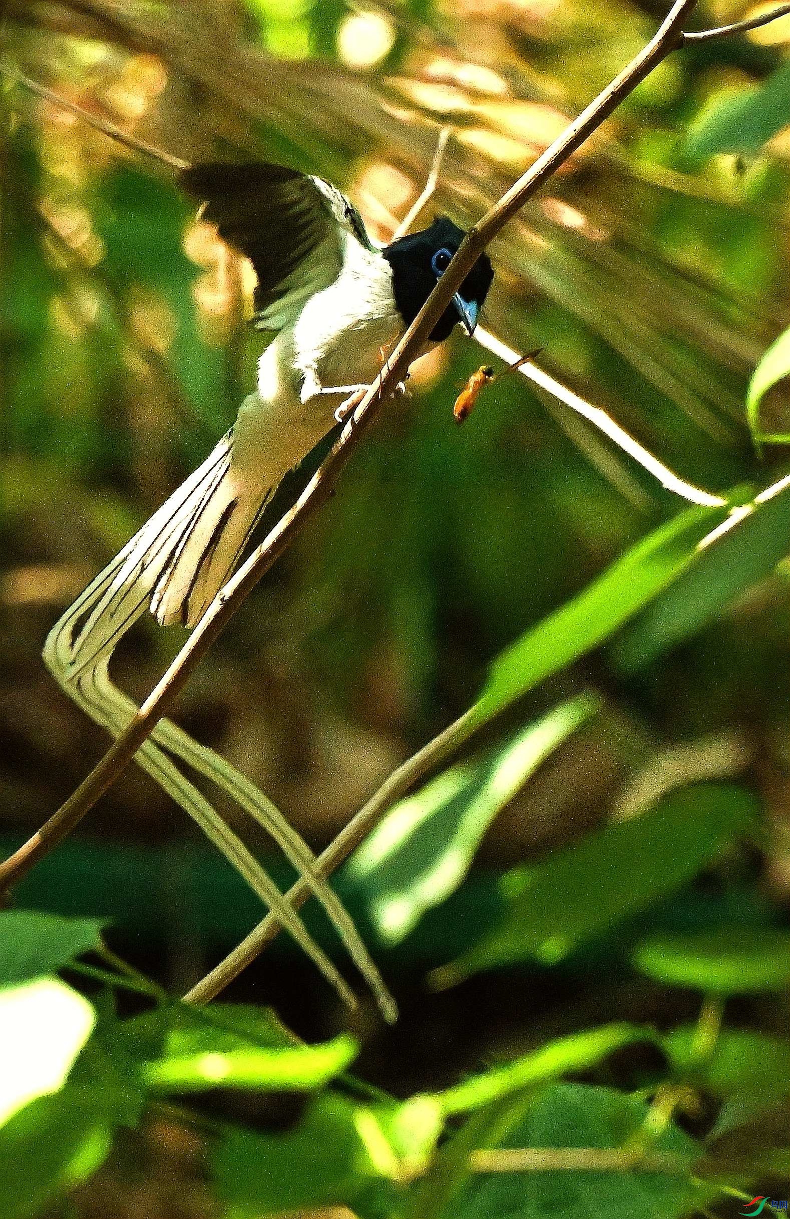 DSC_9829.JPG