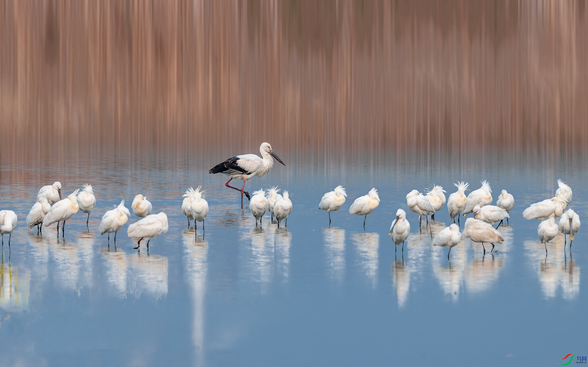 _DSC3567 ����С.jpg